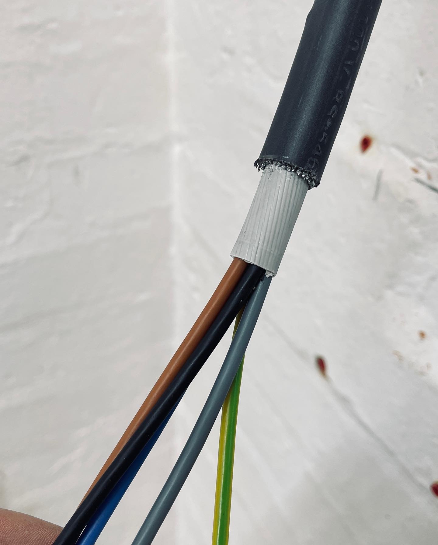 Nice terminations with the @jokari_global tool this morning.
.
.
#electrician #electrical #niceic #sparkylife #installation #installelectrician #swa #birmingham #sparksmagazine #jokaritools