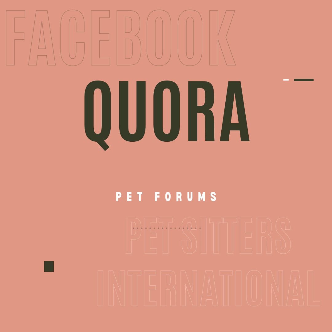 Tender Loving Pawz infographic with the words Facebook, Quora, etc.