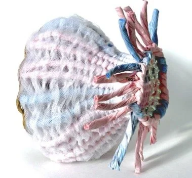  Alternative Basketry Weaving Workshop Saturday Option 