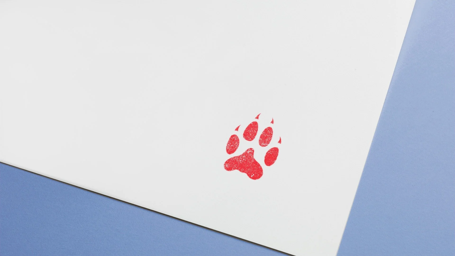 MaxCoyote_Folio_09-min.jpg