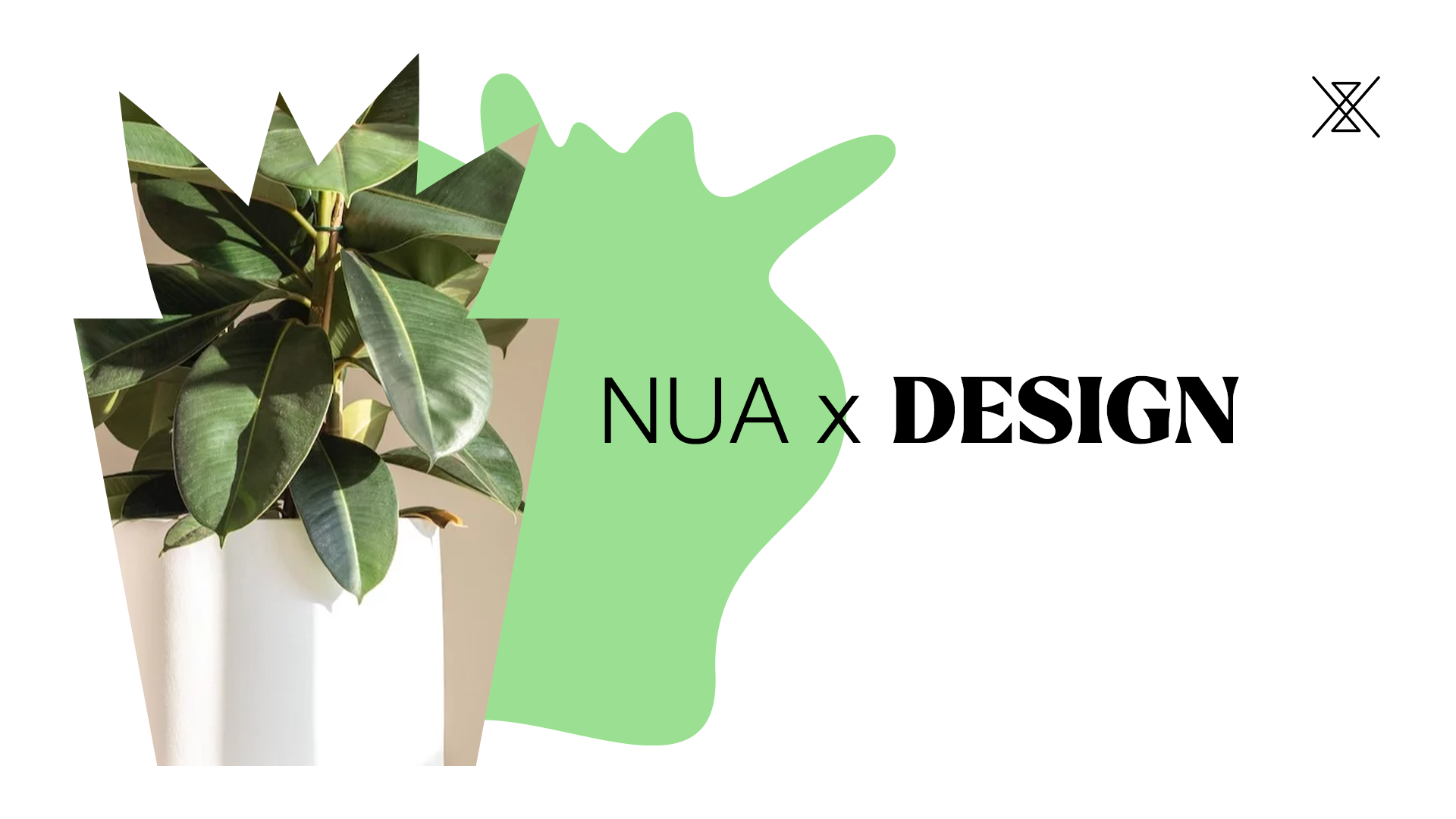 NUA_UsingImages_11.png