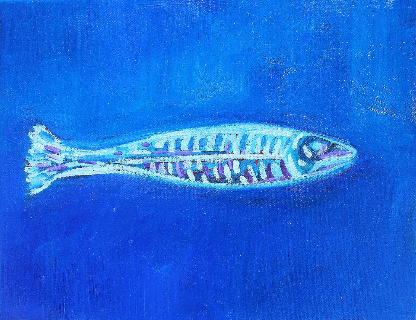 Bait Fish