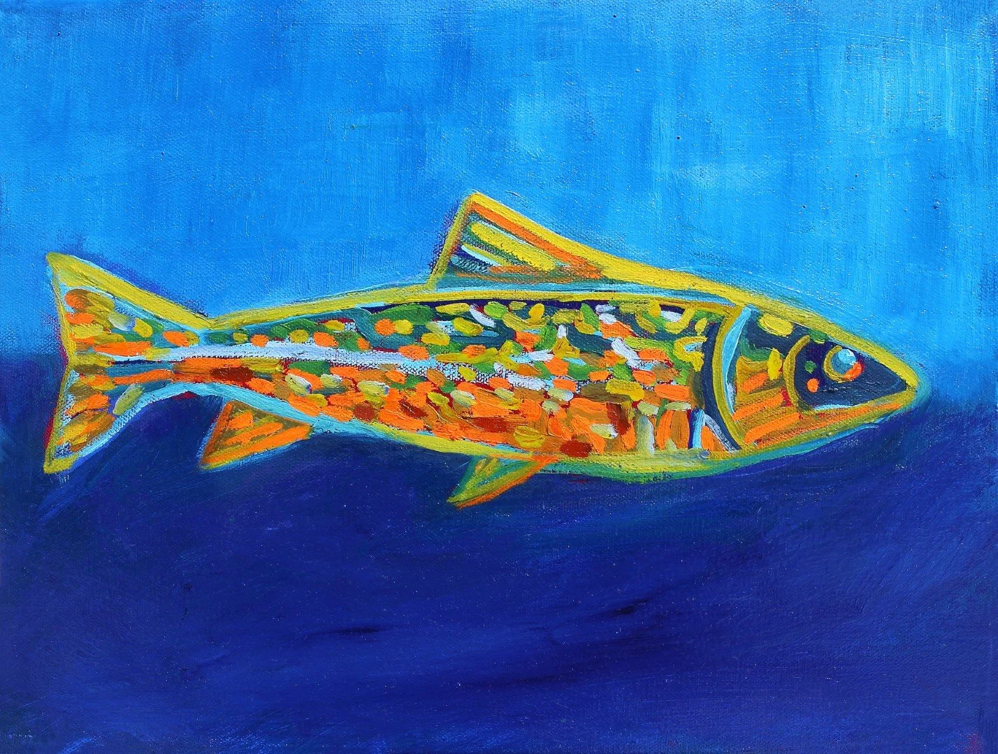 Rainbow Trout