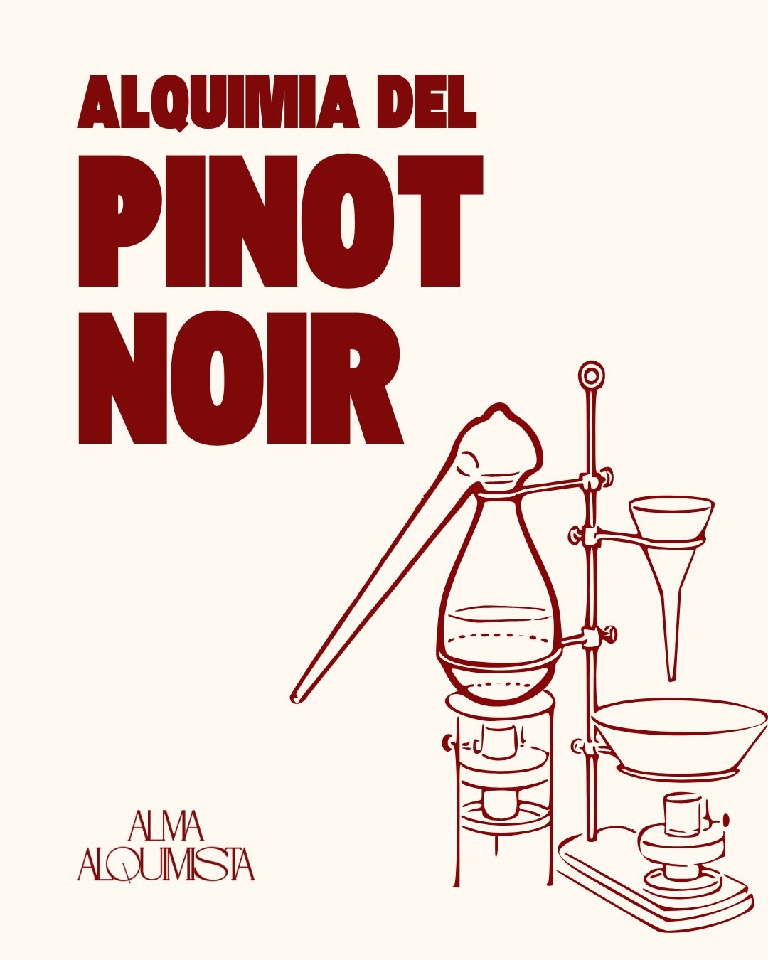La alquimia del pinot noir 🍇

#pinotnoir #almaalquimista #vinosmexicanos
