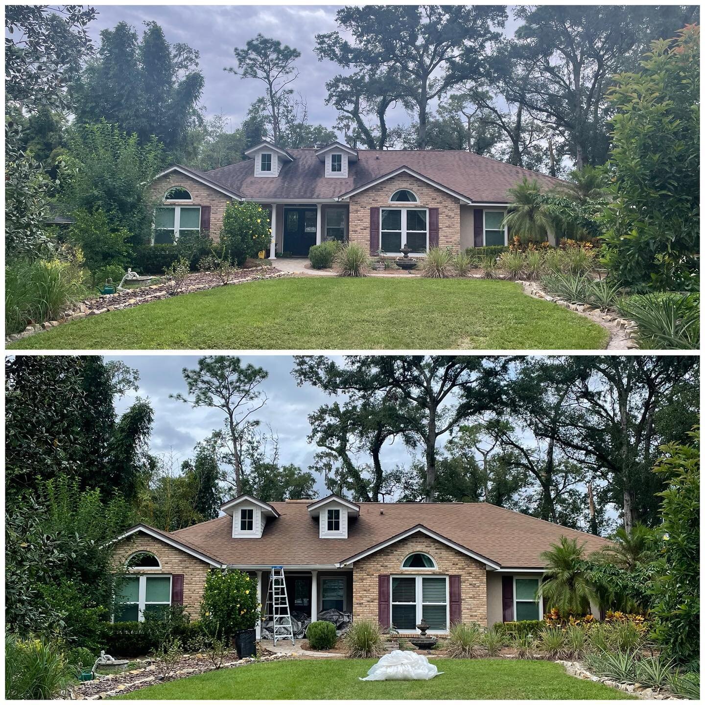 Asphalt roof cleaning 😀