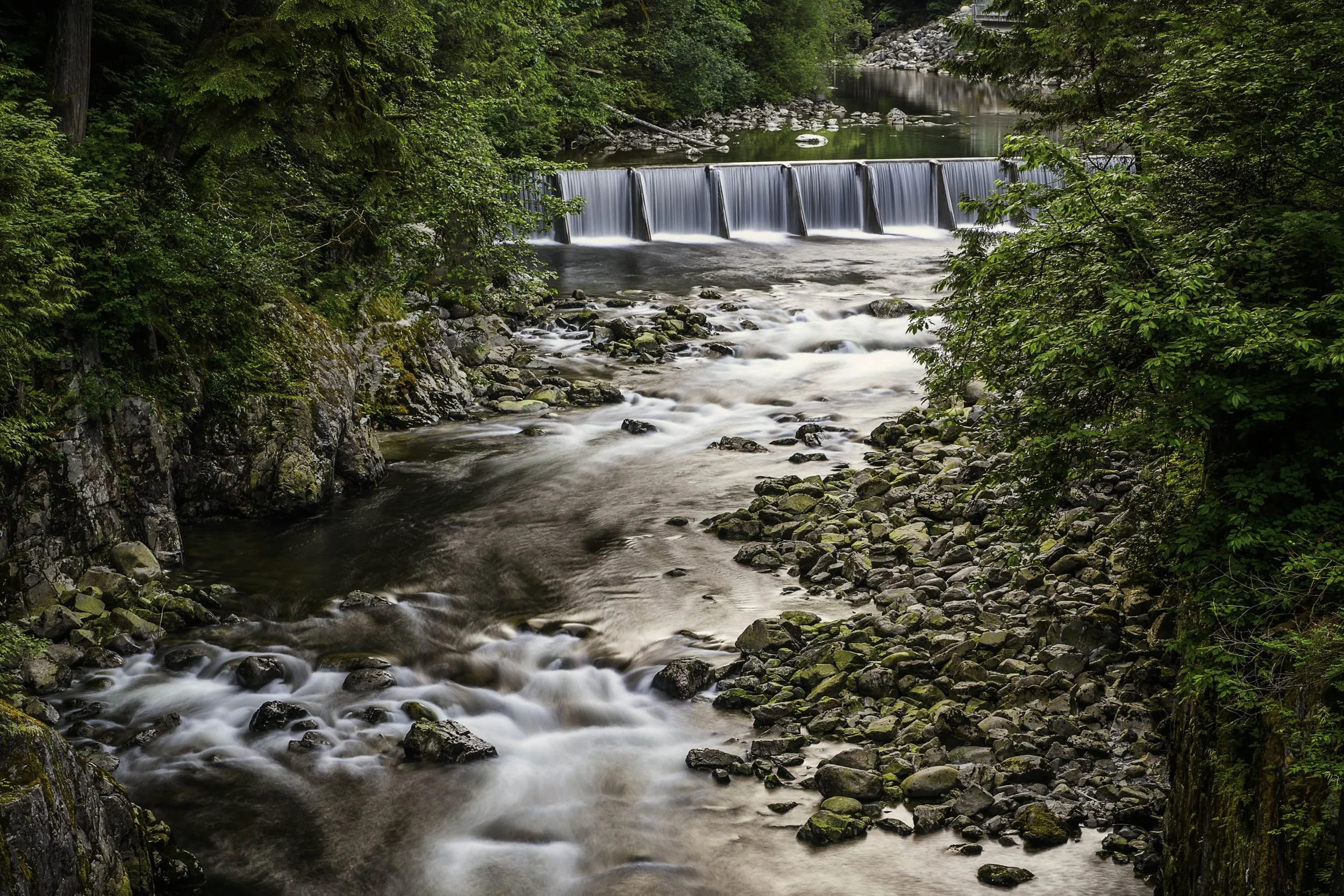 _DSC6958-Edit.jpg