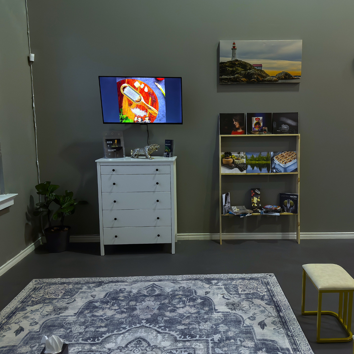 A cozy living room space with a gray wall, a flat-screen TV mounted on the wall showing a colorful image, a white chest of drawers, a small plant in a black pot, a decorative tiger sculpture, a bookshelf with photos and items, a painting of a lightho