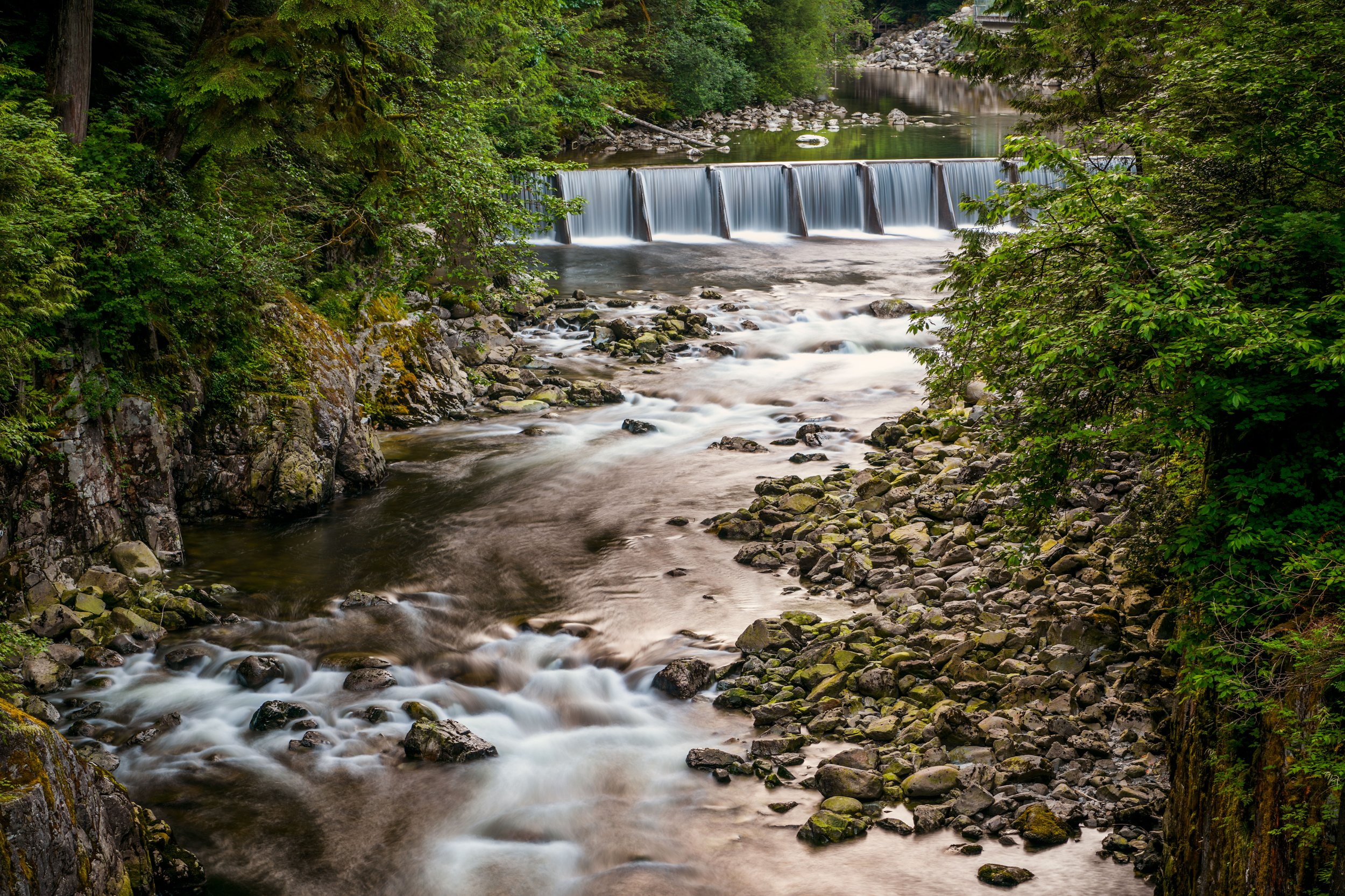 A river flowing through a forest with a small waterfall in the background, surrounded by green trees and rocks.