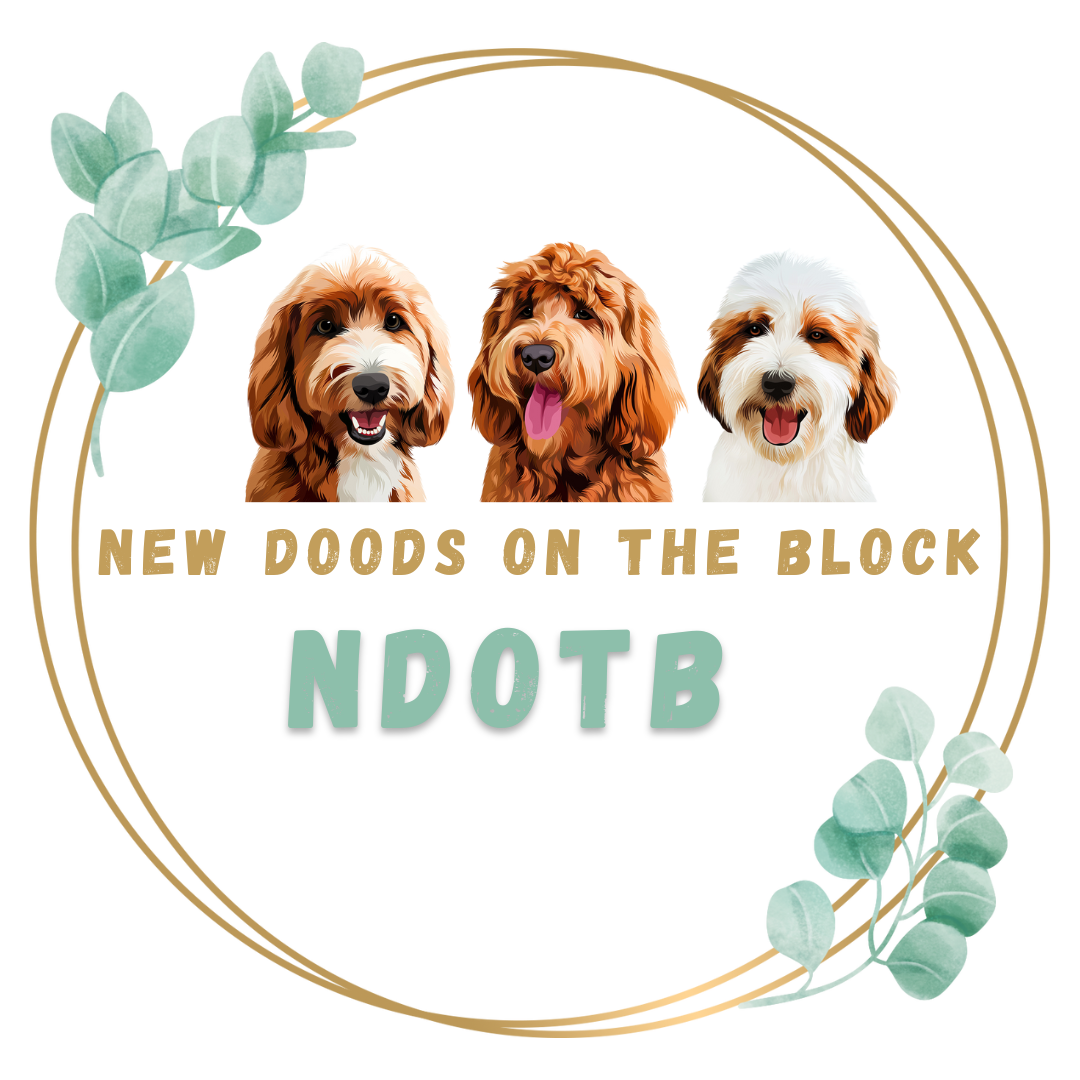 New Doods On The Block new-doods-on-the-block
