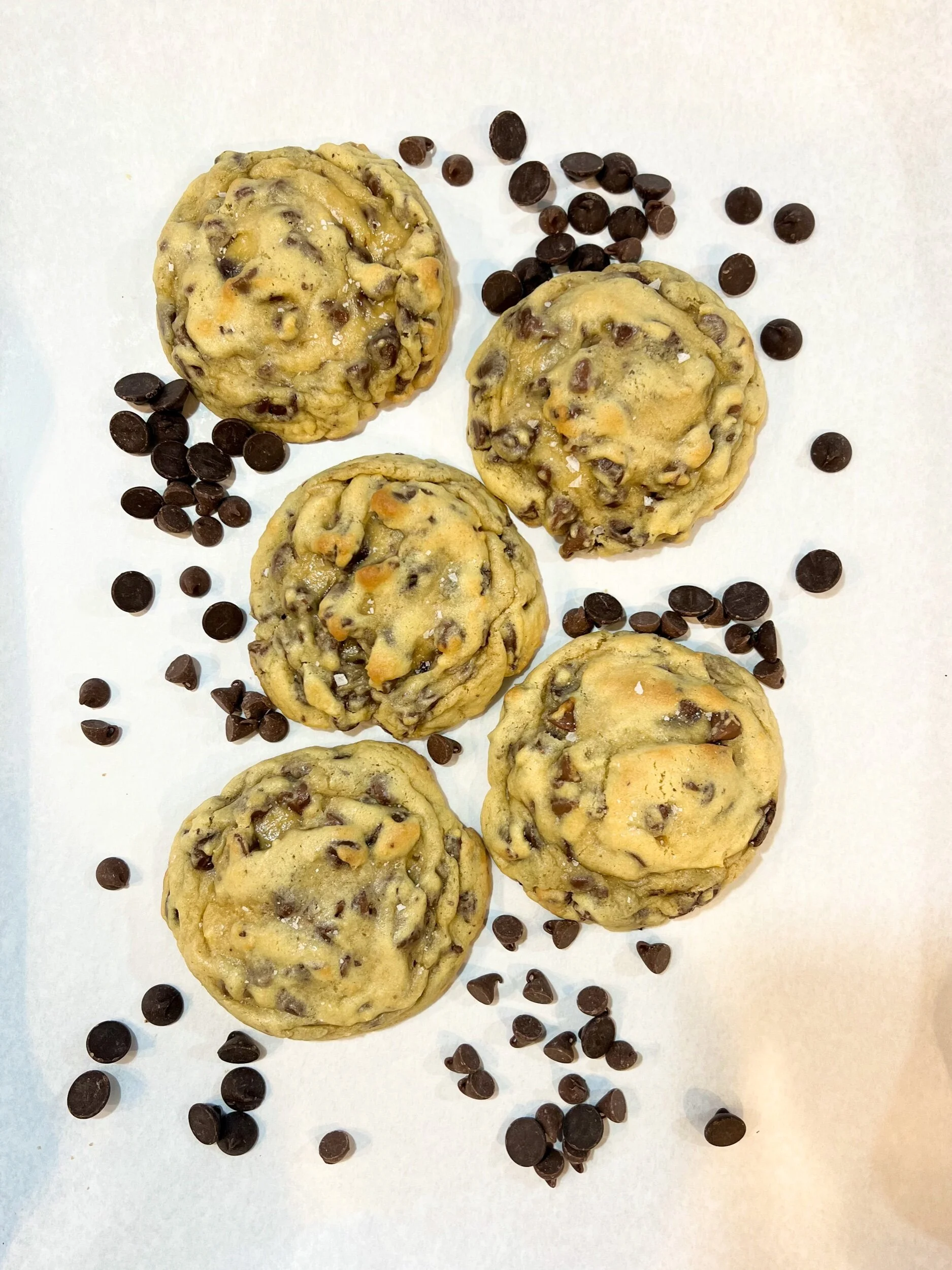 20F79290-1BF6-4D44-B1C2-54C8131F3238