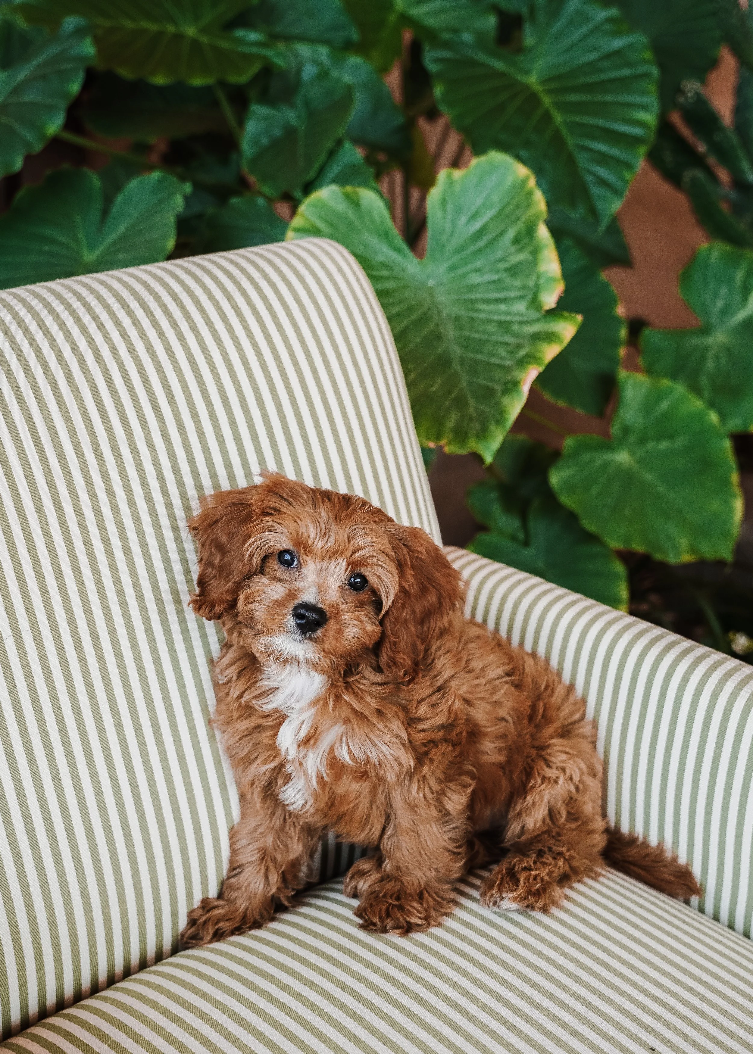 Bailey-53.jpg