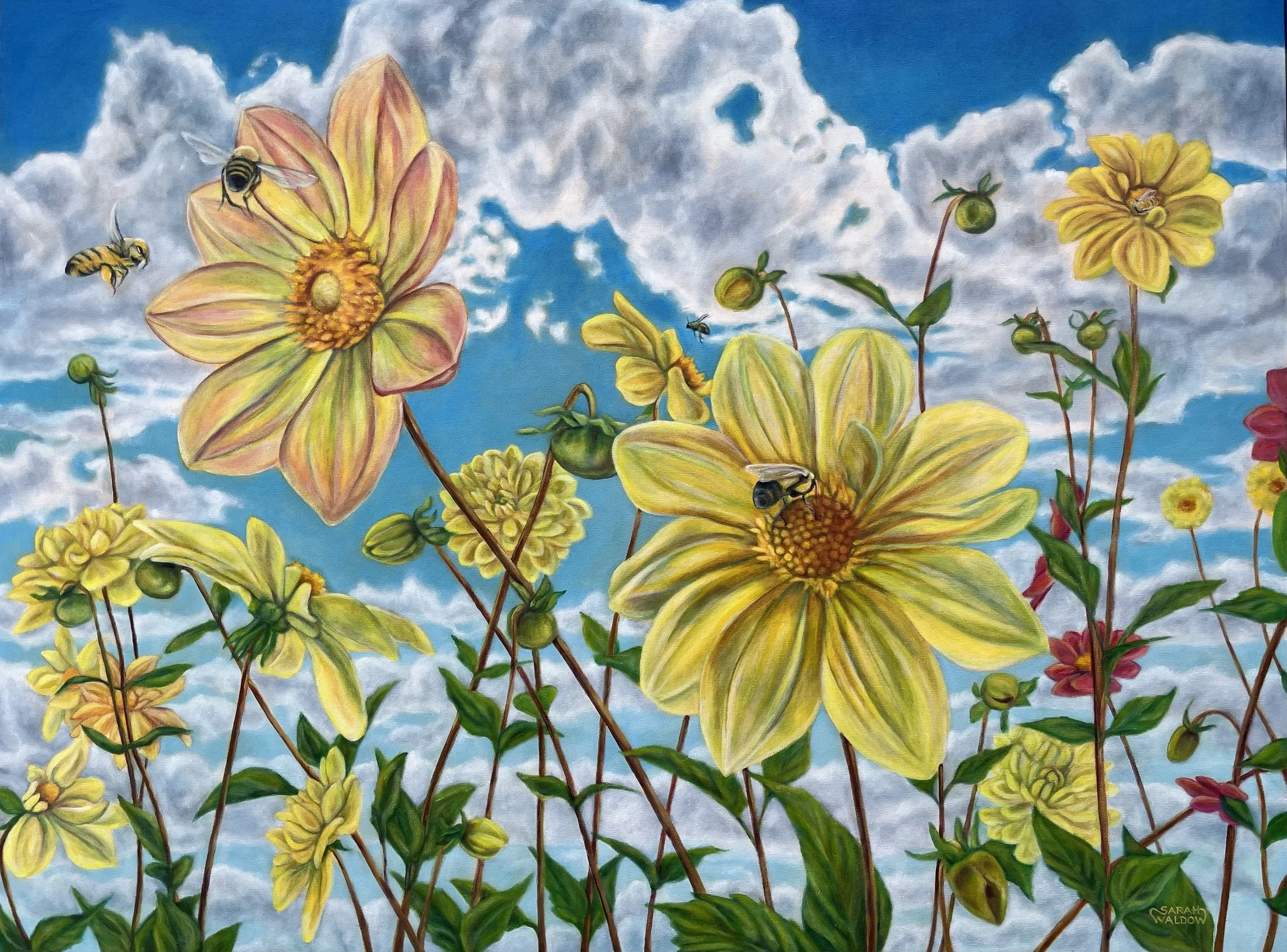 36 X 48 inches