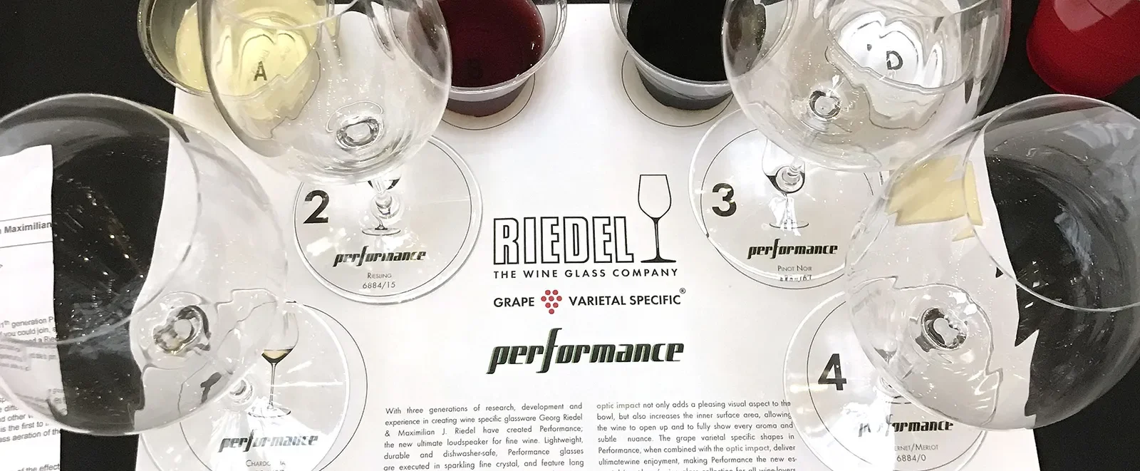 riedel-performance-review.webp