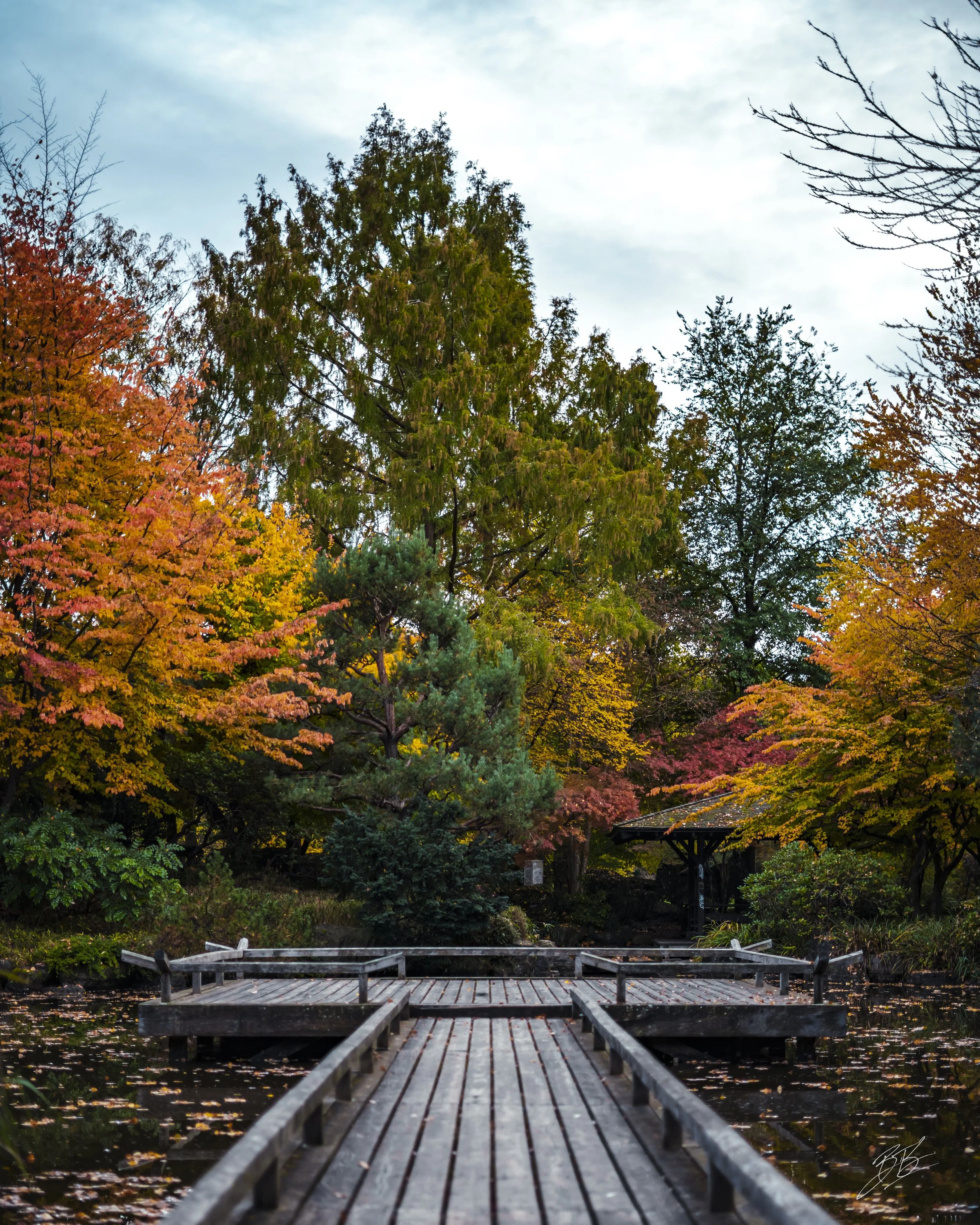 West Park-Oct 22, 2025-06x2.jpeg