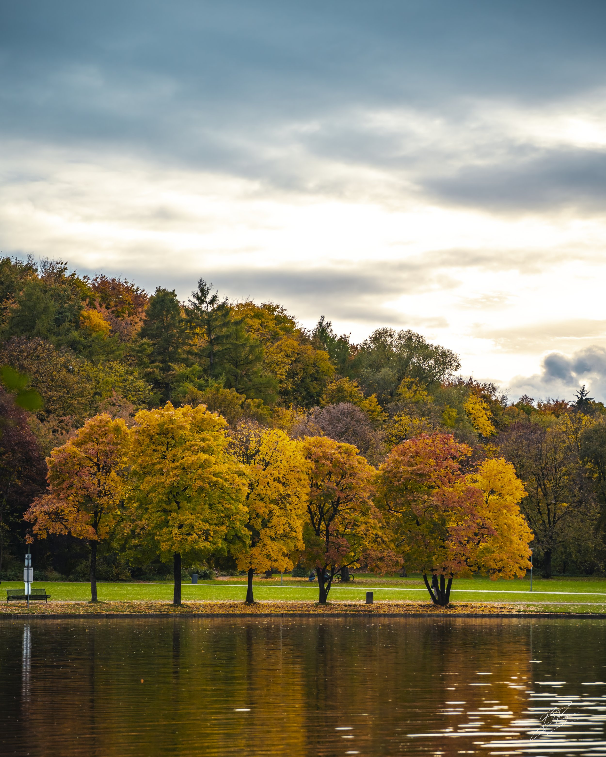 West Park-Oct 22, 2025-10x2.jpeg