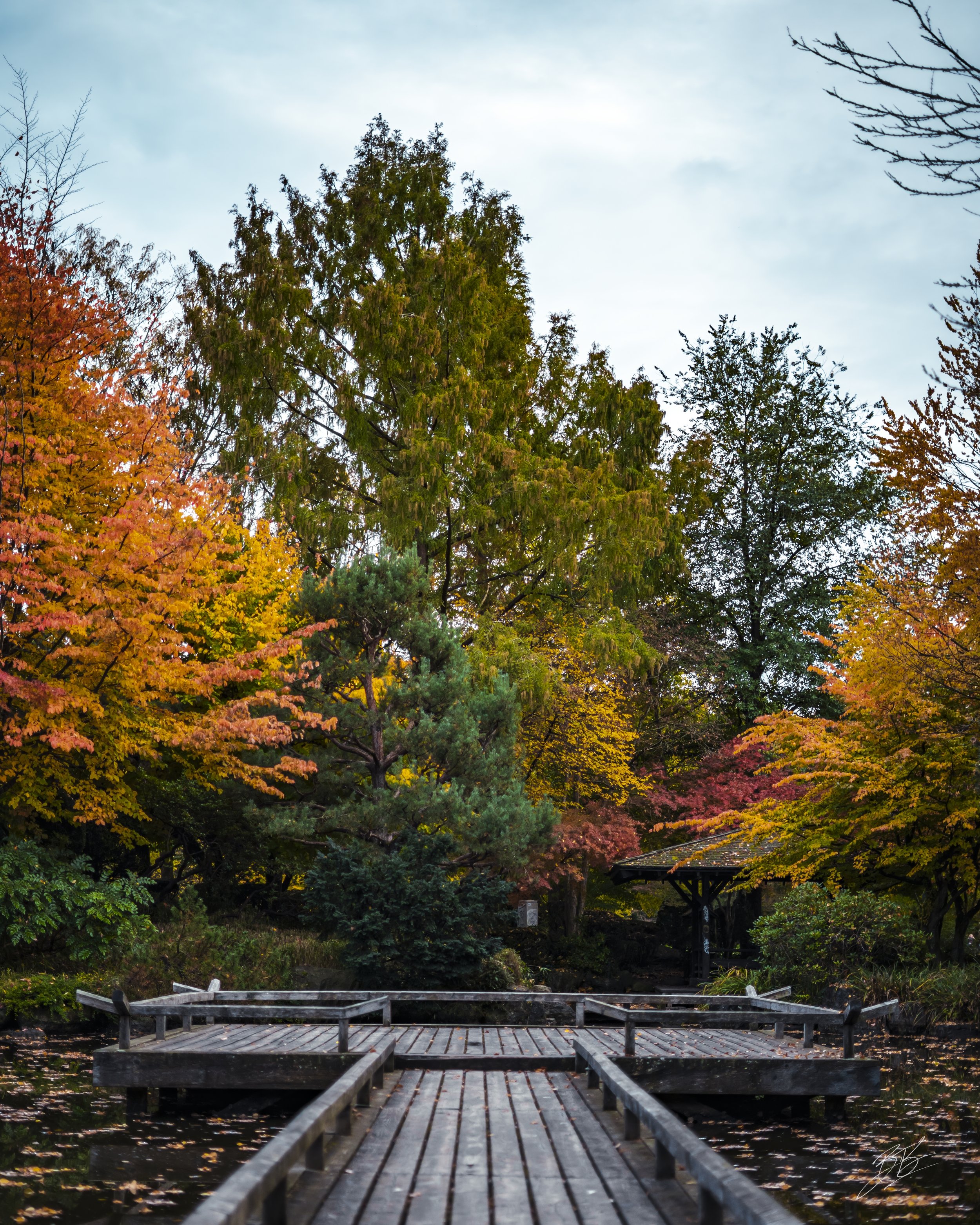 West Park-Oct 22, 2025-02x2-2.jpeg