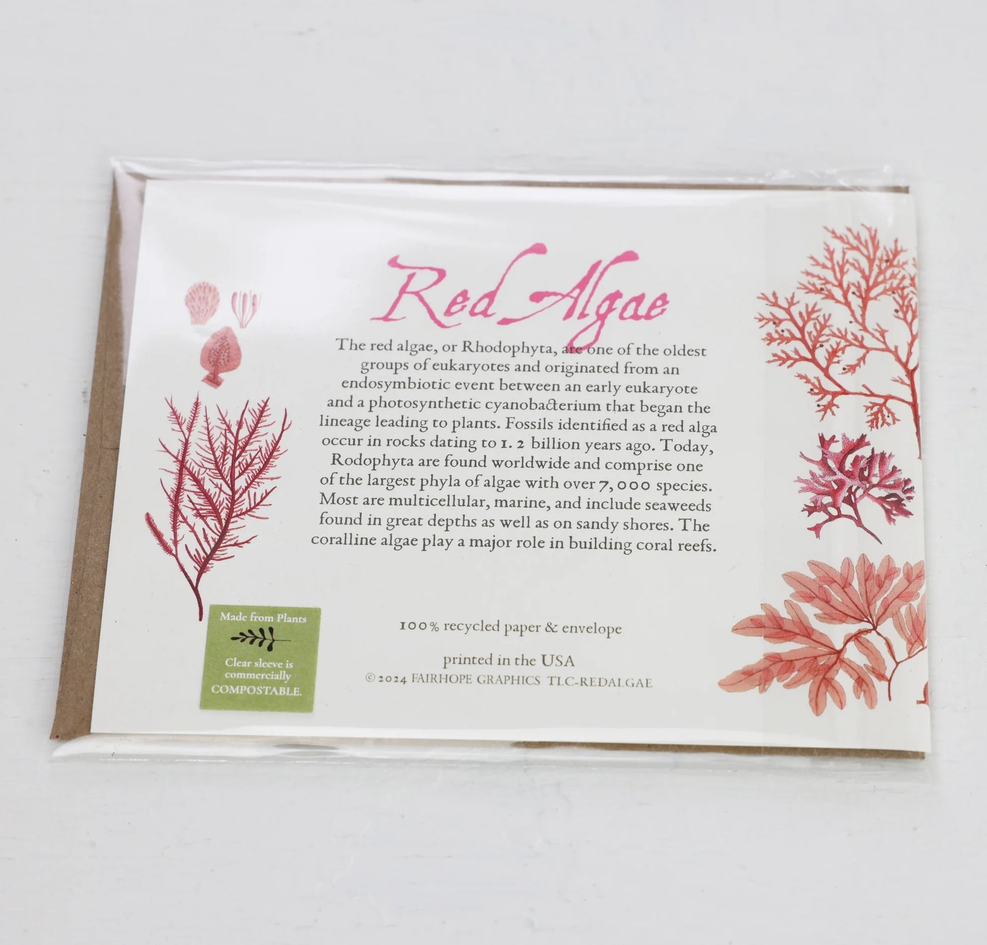 red algae card 2.webp