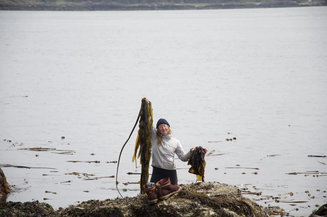 Seaweed Harvesting in Relationship (Whidbey Island,  WA, April 20, 2026, 9:30AM-3:30PM