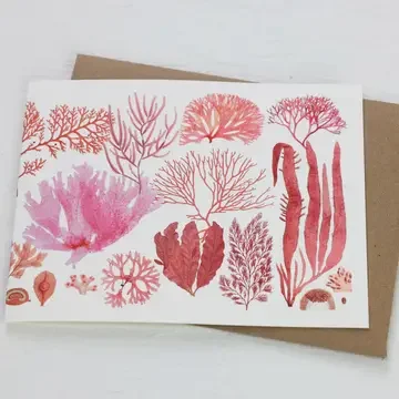 Red Algae Cards