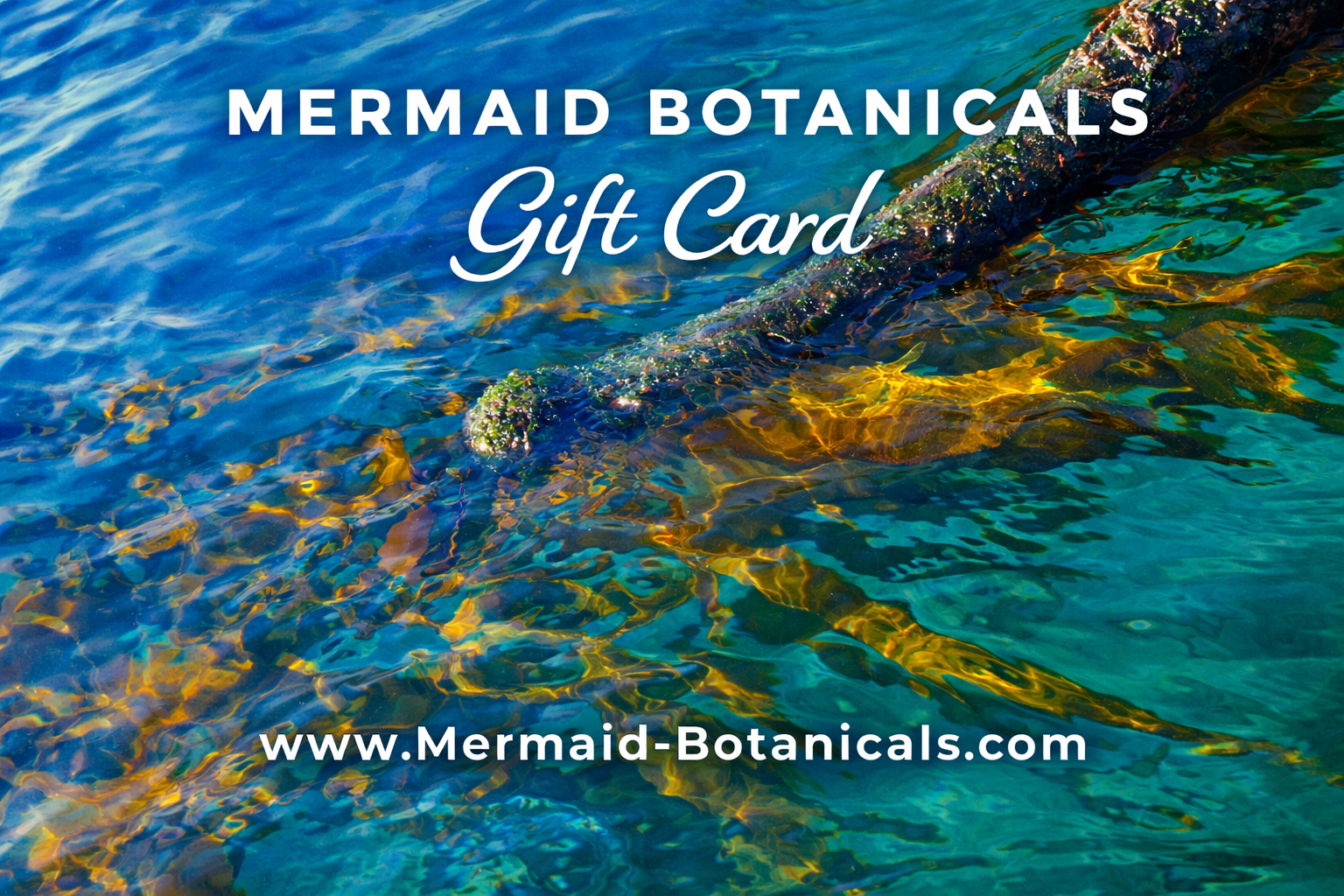 ChatGPT Image Feb 13, 2026, 09_21_23 AM.png