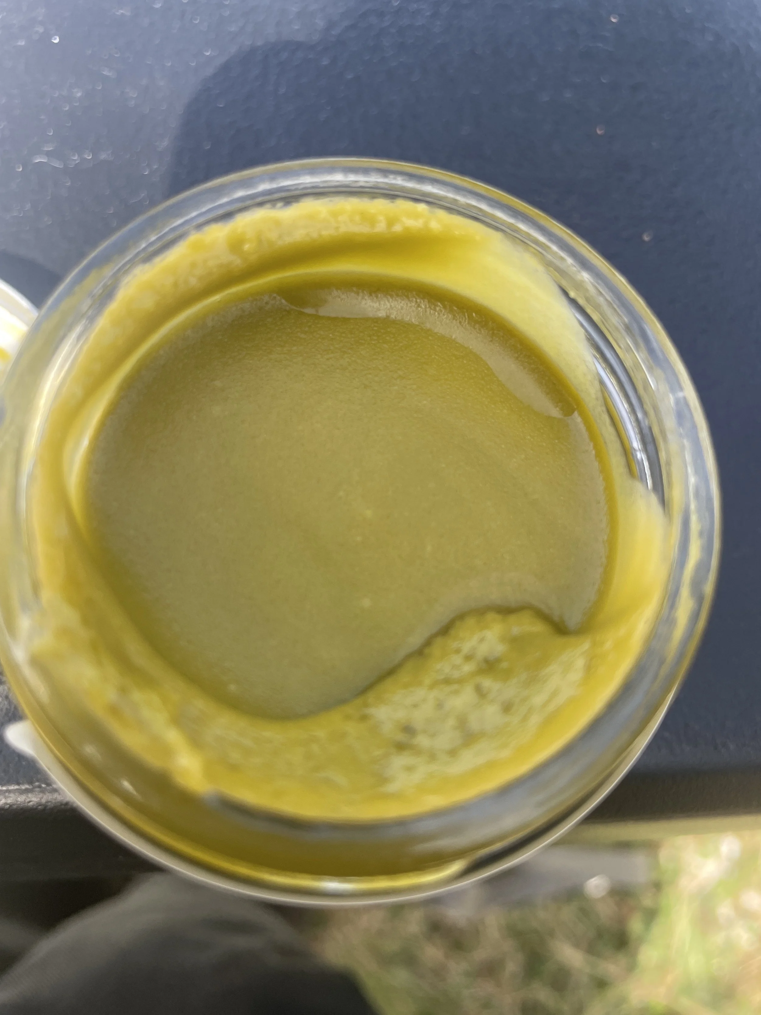 Experimental Release — Bladderwrack Balm (2 oz Test Jar)