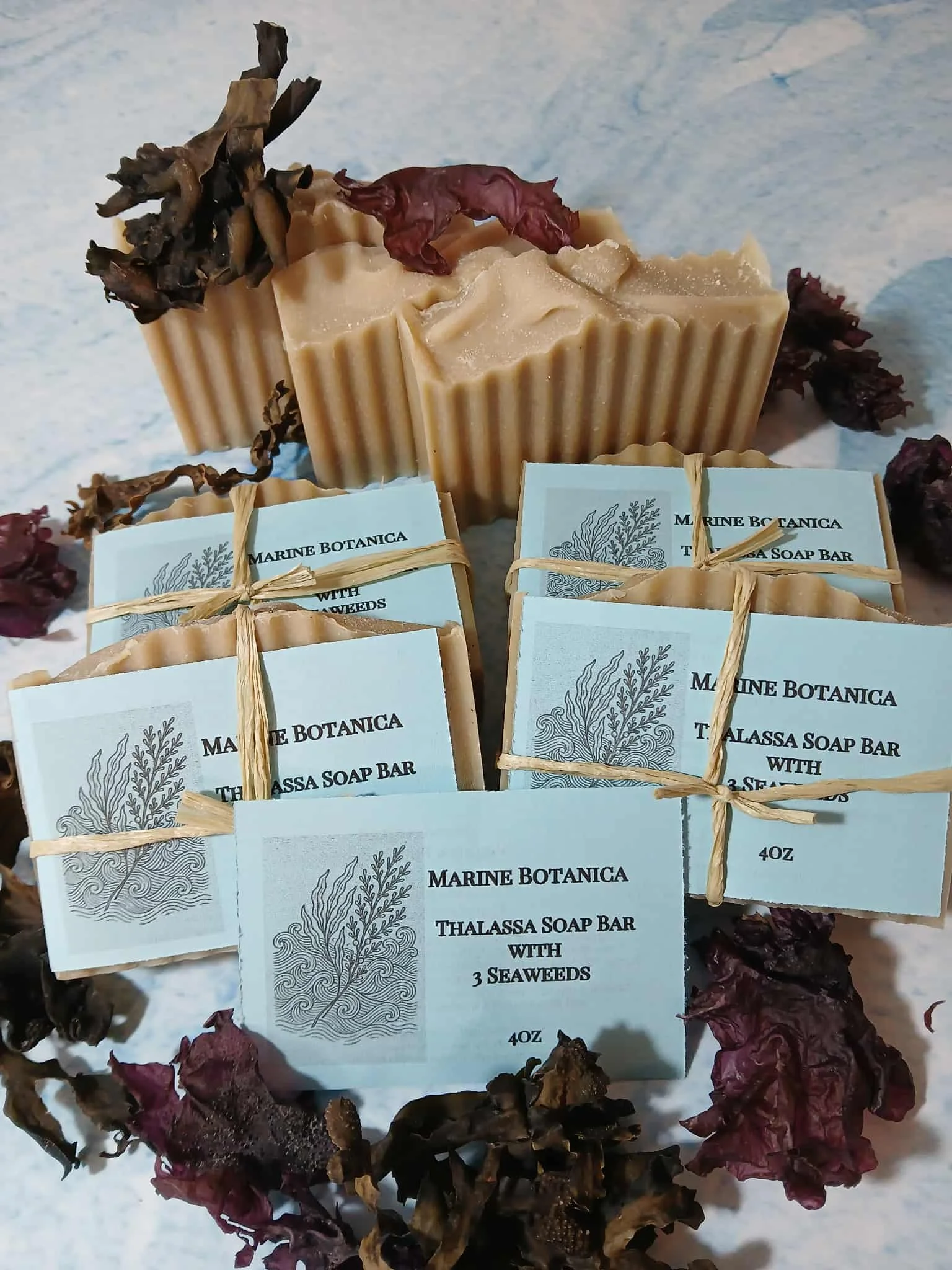 seaweed soap 6.jpg