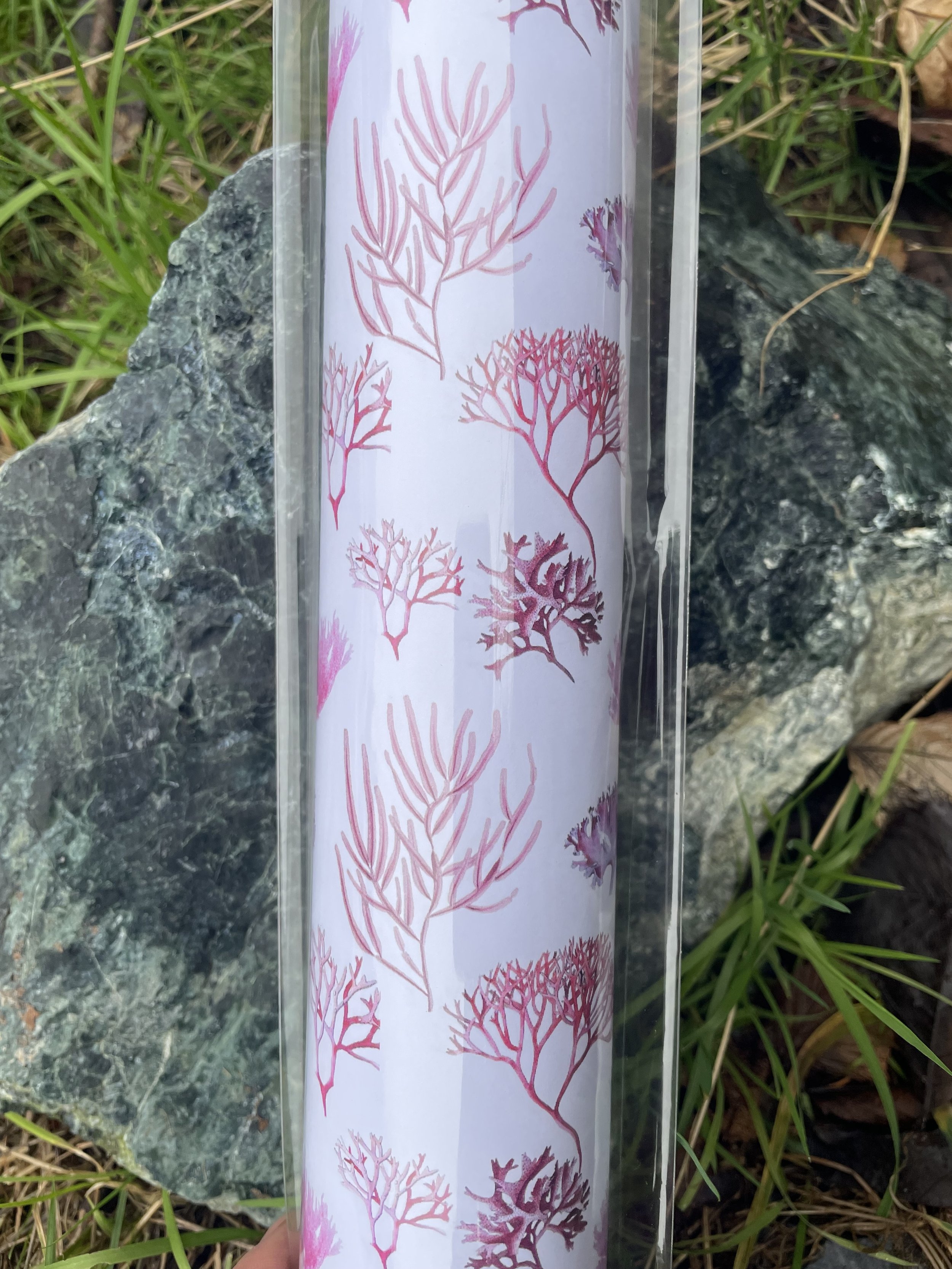 Red algae wrap 4.jpg