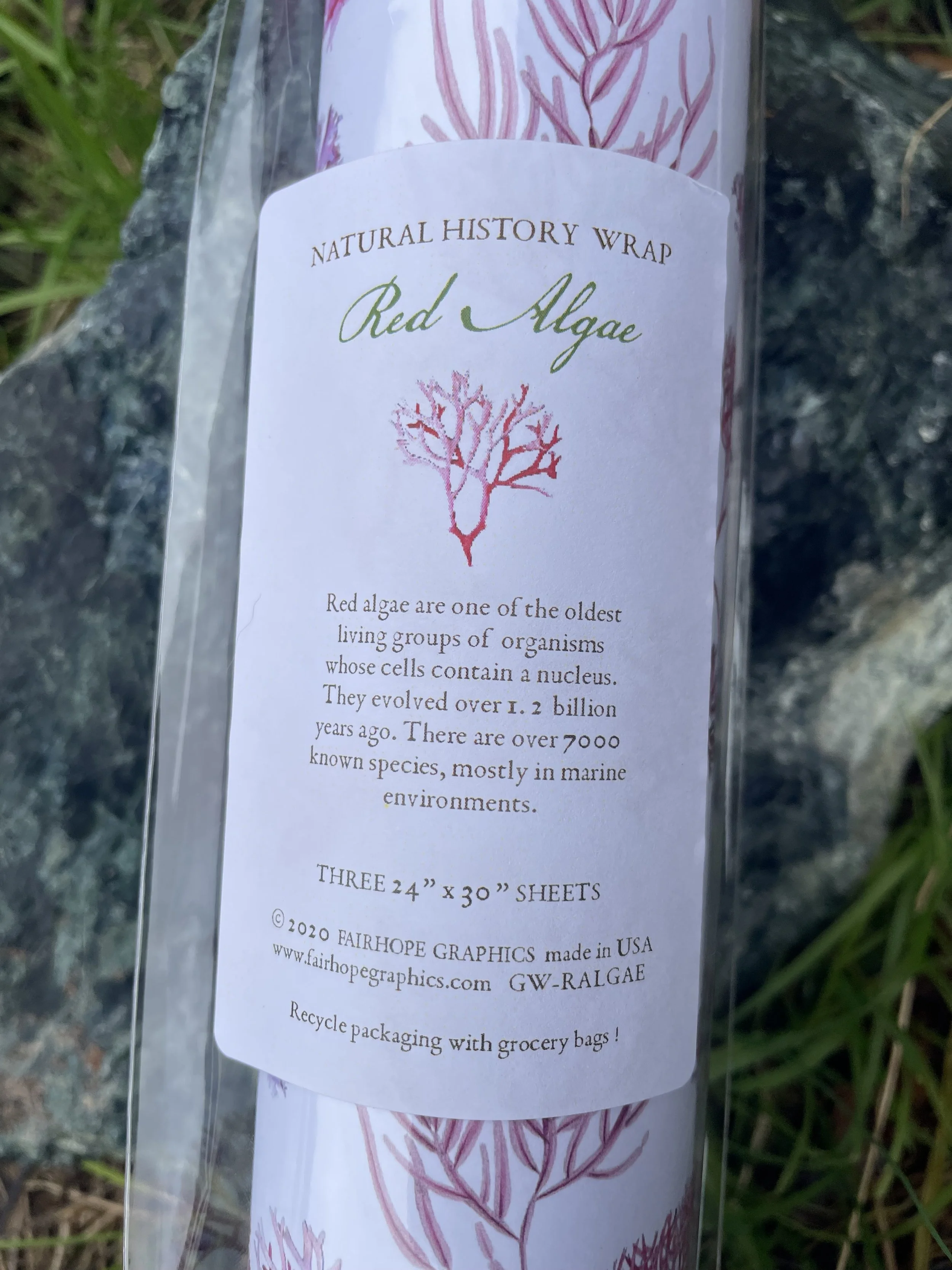 red algae wrap 3.jpg