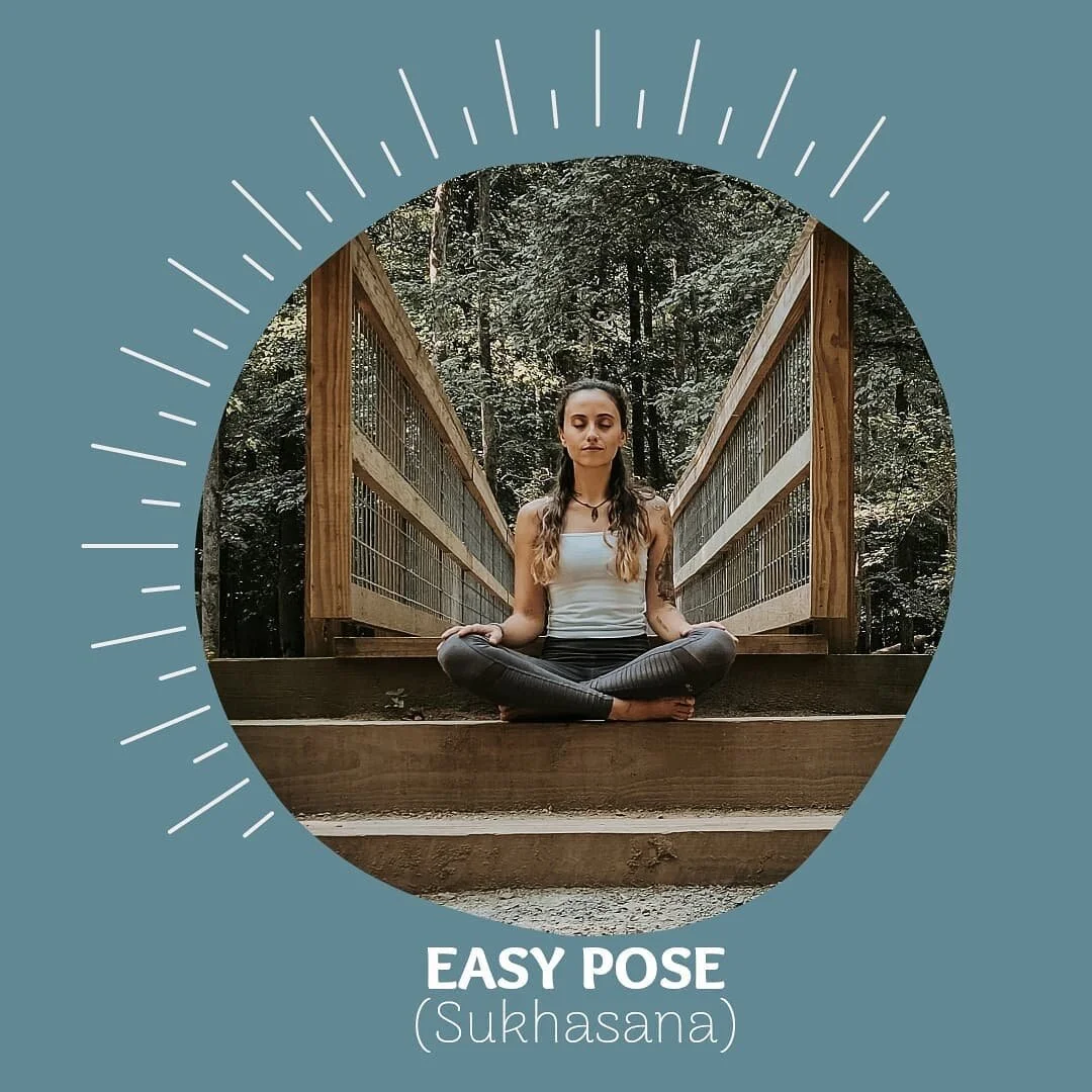 Easy pose, Sukhasana in Sanskrit, is likely what comes to mind when you think of a meditative pose. This pose is great for beginners as it is likely a pose you already utilize in your life and it can warm up the mind and body for more challenging pos