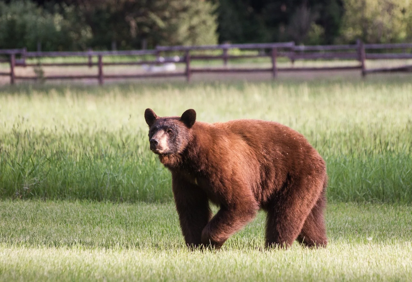 9 mile Montana-6681.jpg