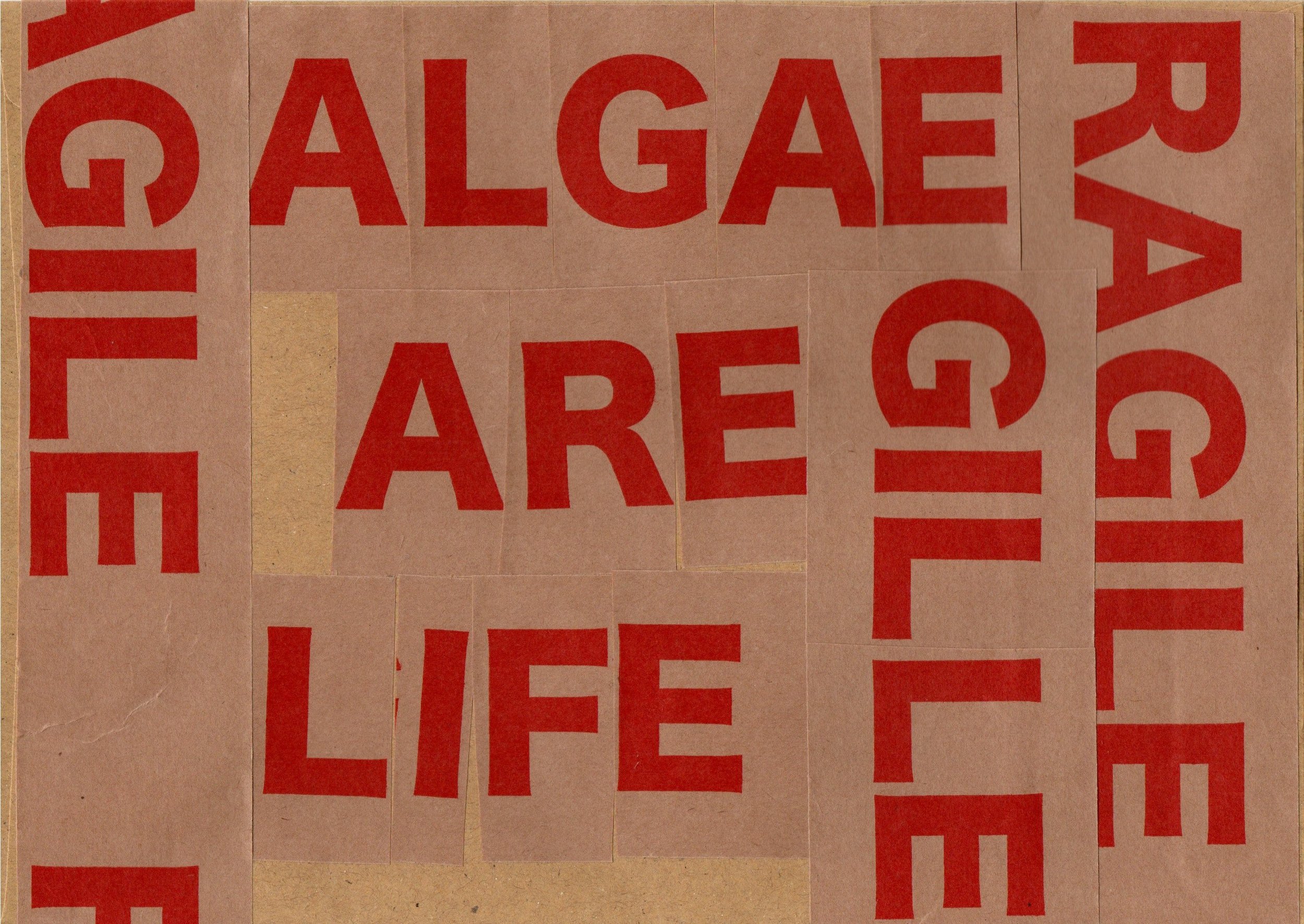 FRAGILE 74.jpg