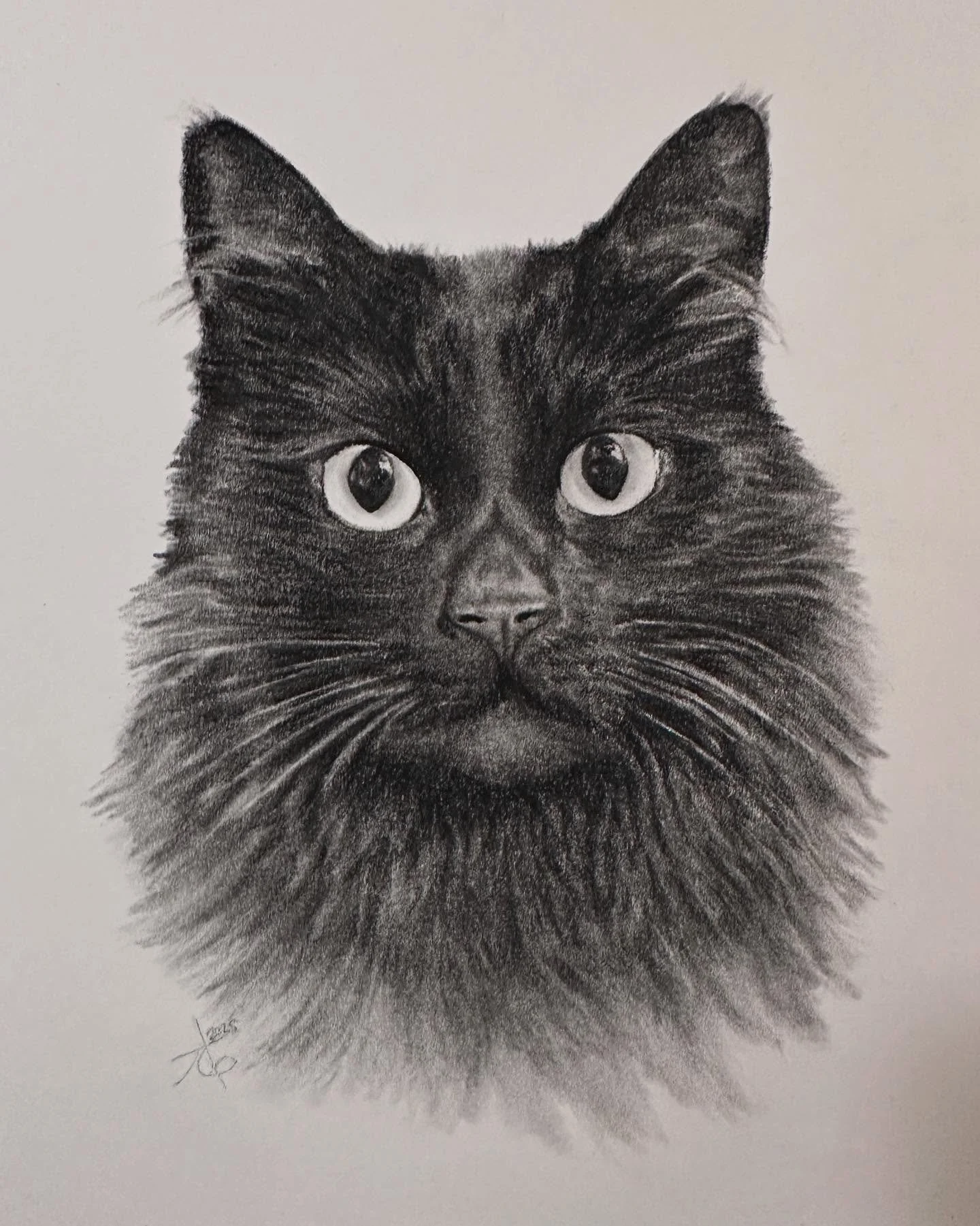 Pearl🐈&zwj;⬛
8x10&rdquo; charcoal

#charcoaldrawing #catsofinstagram #catdrawing #drawing #charcoalart