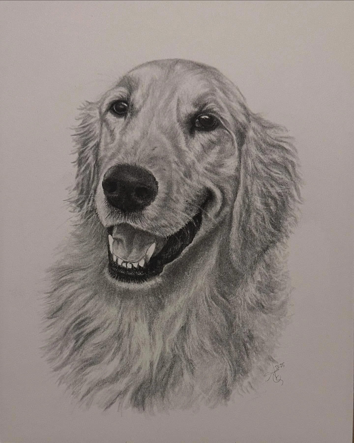 Layla🐶
8x10&rdquo; charcoal
*
#petportraitcommission #charcoalart #charcoaldrawing #dogart #goldenretriever