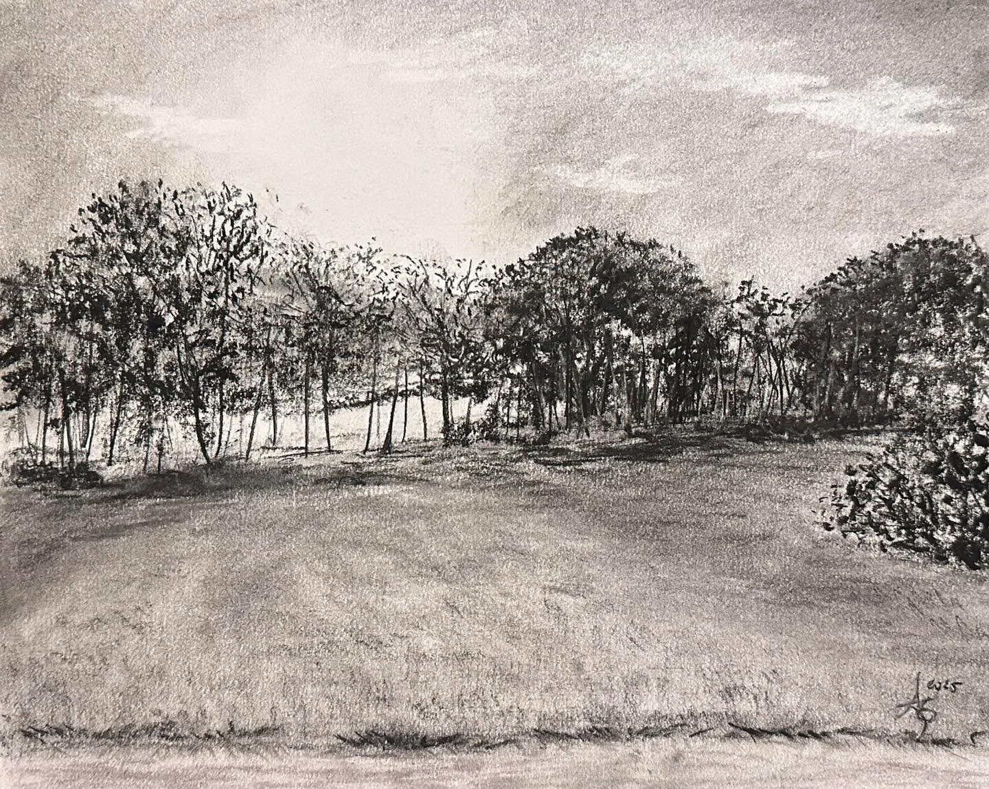 8x10&rdquo; charcoal
made earlier this year

#charcoaldrawings #charcoalart #blackandwhite #landscapeart #trees