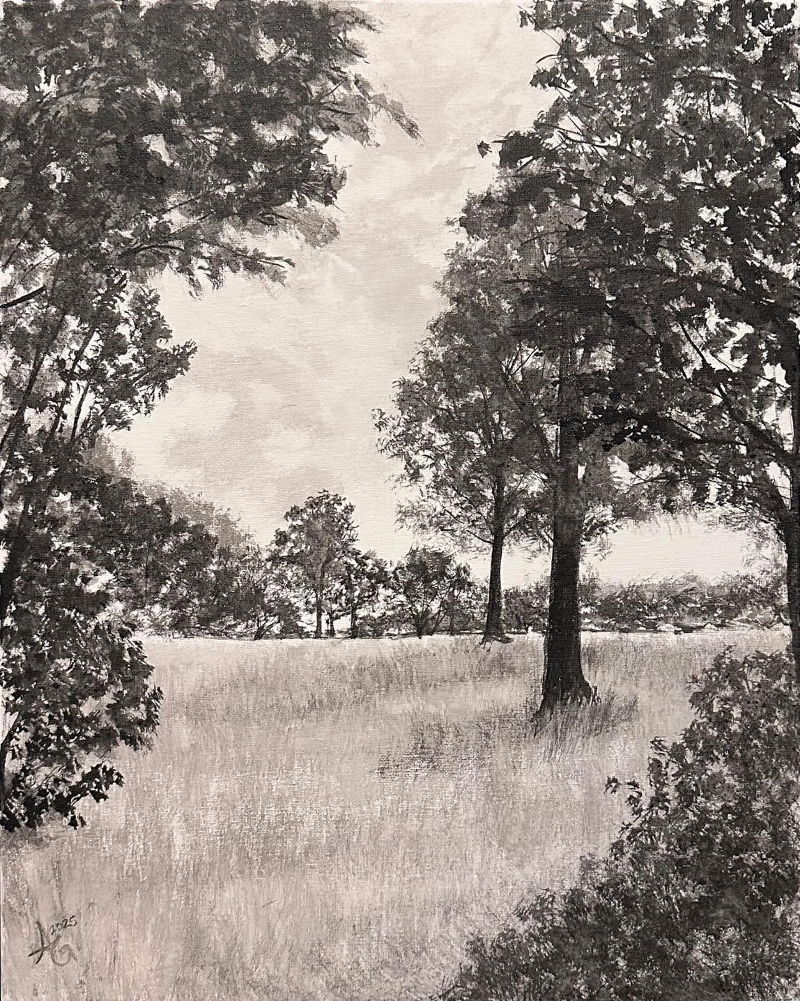 16x20&rdquo; india ink

#inkart #blackandwhite #inkdrawing #landscapeart #trees