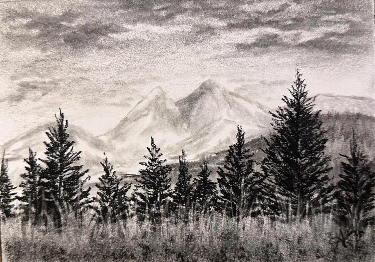 5x7&rdquo; charcoal (from a few weeks ago)

#blackandwhite #charcoaldrawing #trees #treedrawing #charcoalart #landscapedrawing