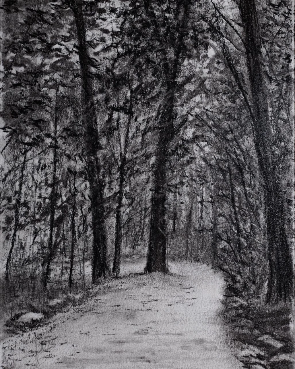 5x7&rdquo; charcoal from months back and sold a few weeks ago🥲
*
*
#charcoal #charcoaldrawing #trees #trail #hiking