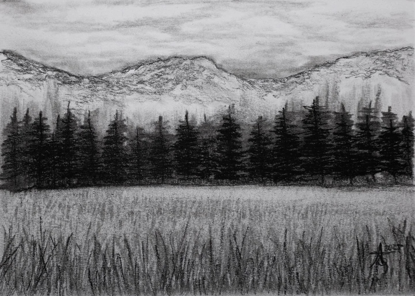5x7&rdquo; charcoal done earlier this year
*
*
#blackandwhite #charcoaldrawing #trees #treedrawing #charcoalart #landscapedrawing #mountains