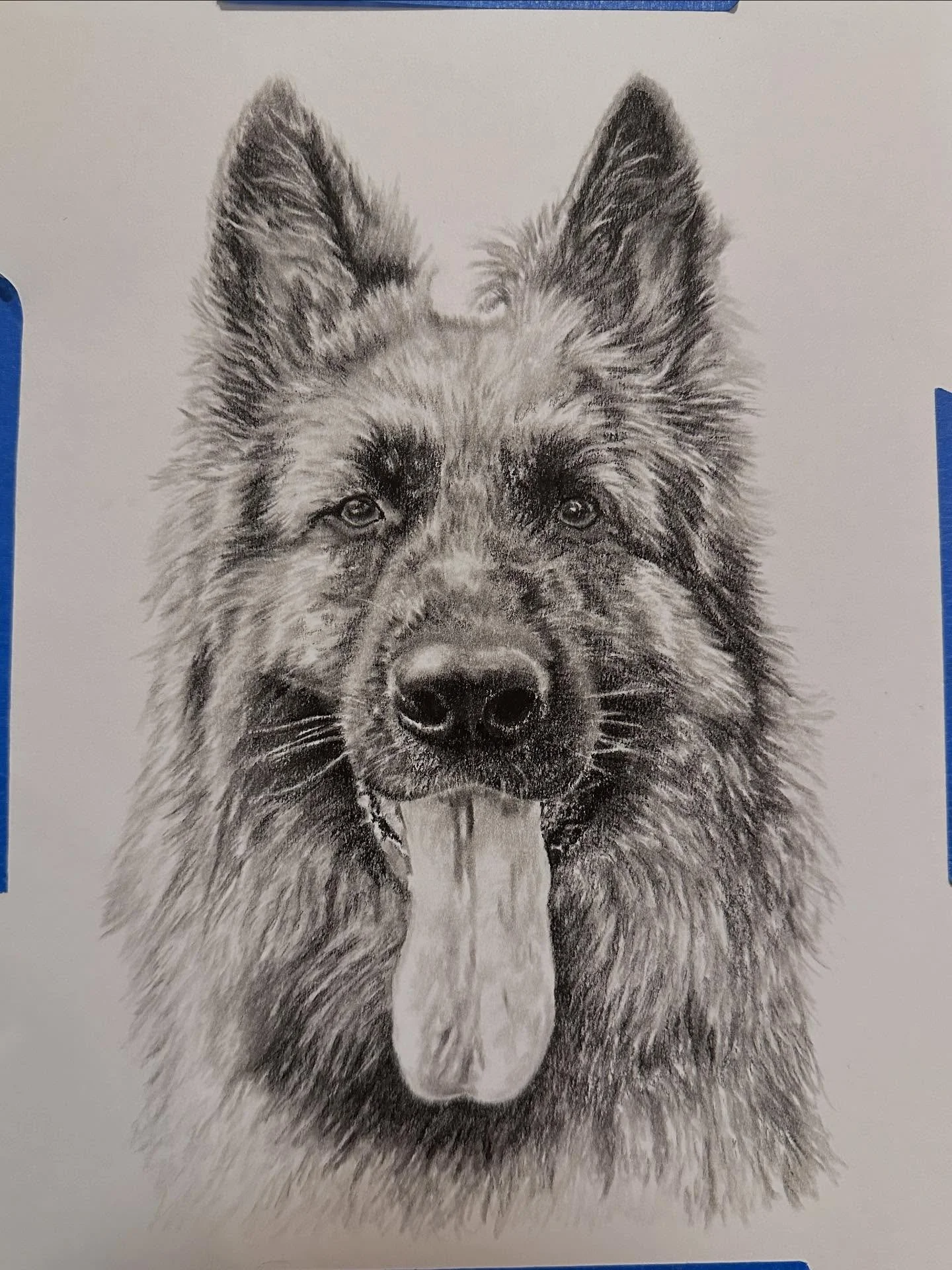 Freya🐶
charcoal, summer 2024 commission

#dog #charcoalart #commission #dogdrawing #charcoaldrawing