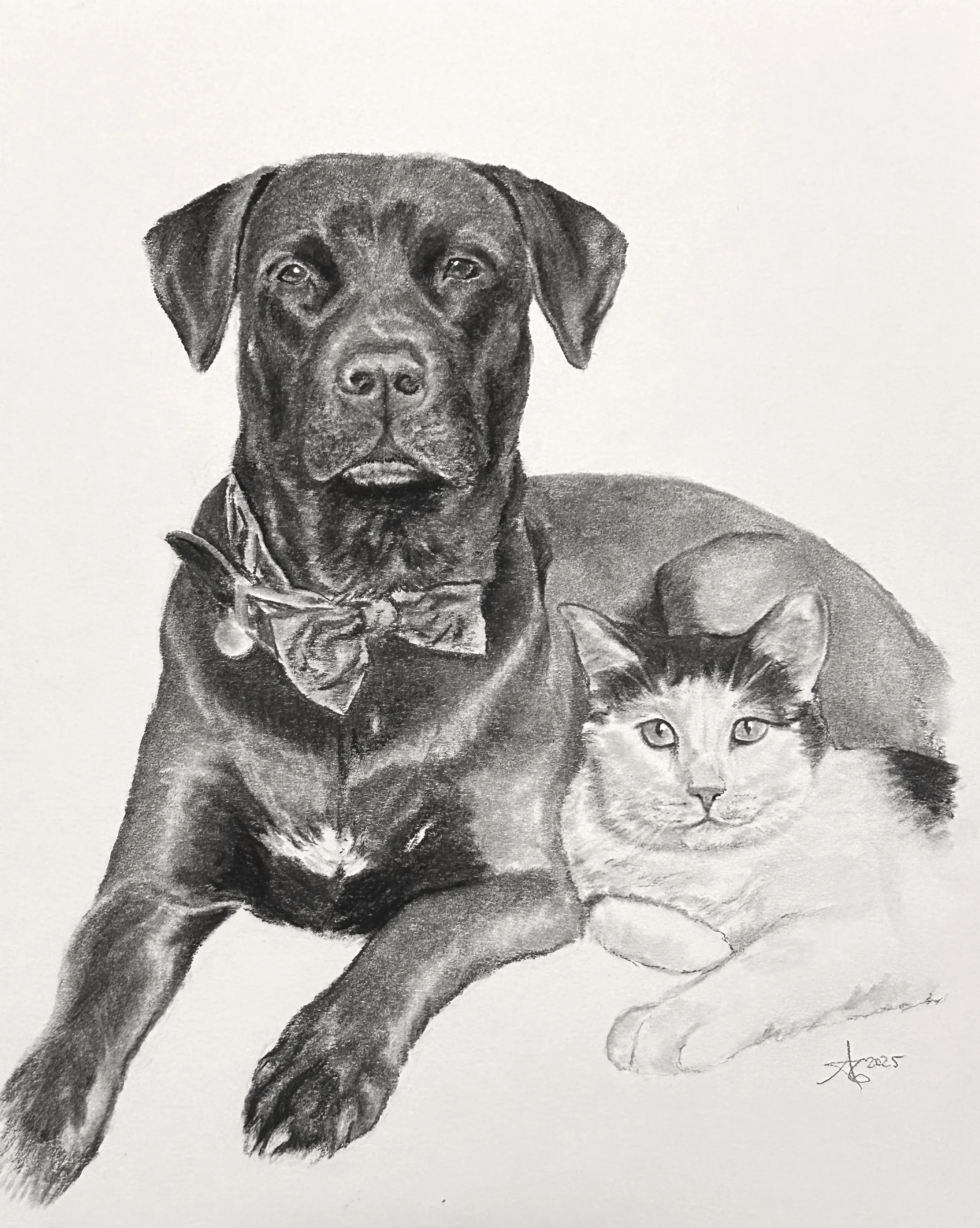 8x10" charcoal on illustration board, 2025