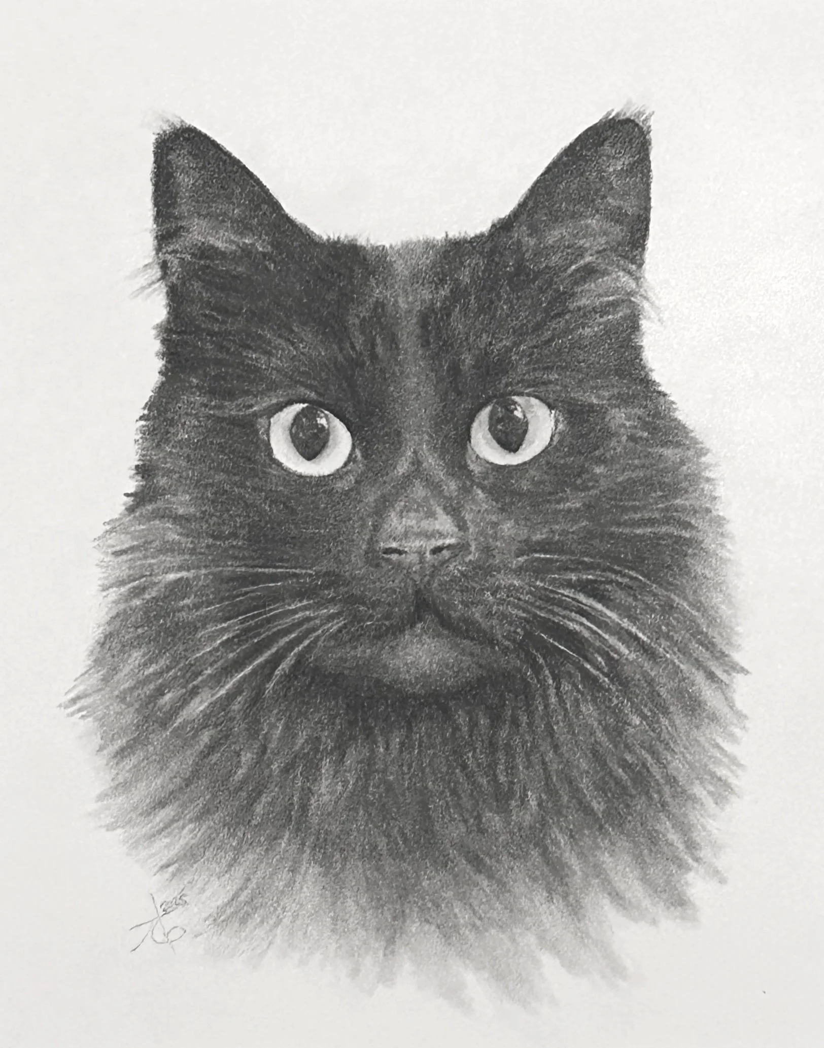 8x10" charcoal on illustration board, 2025