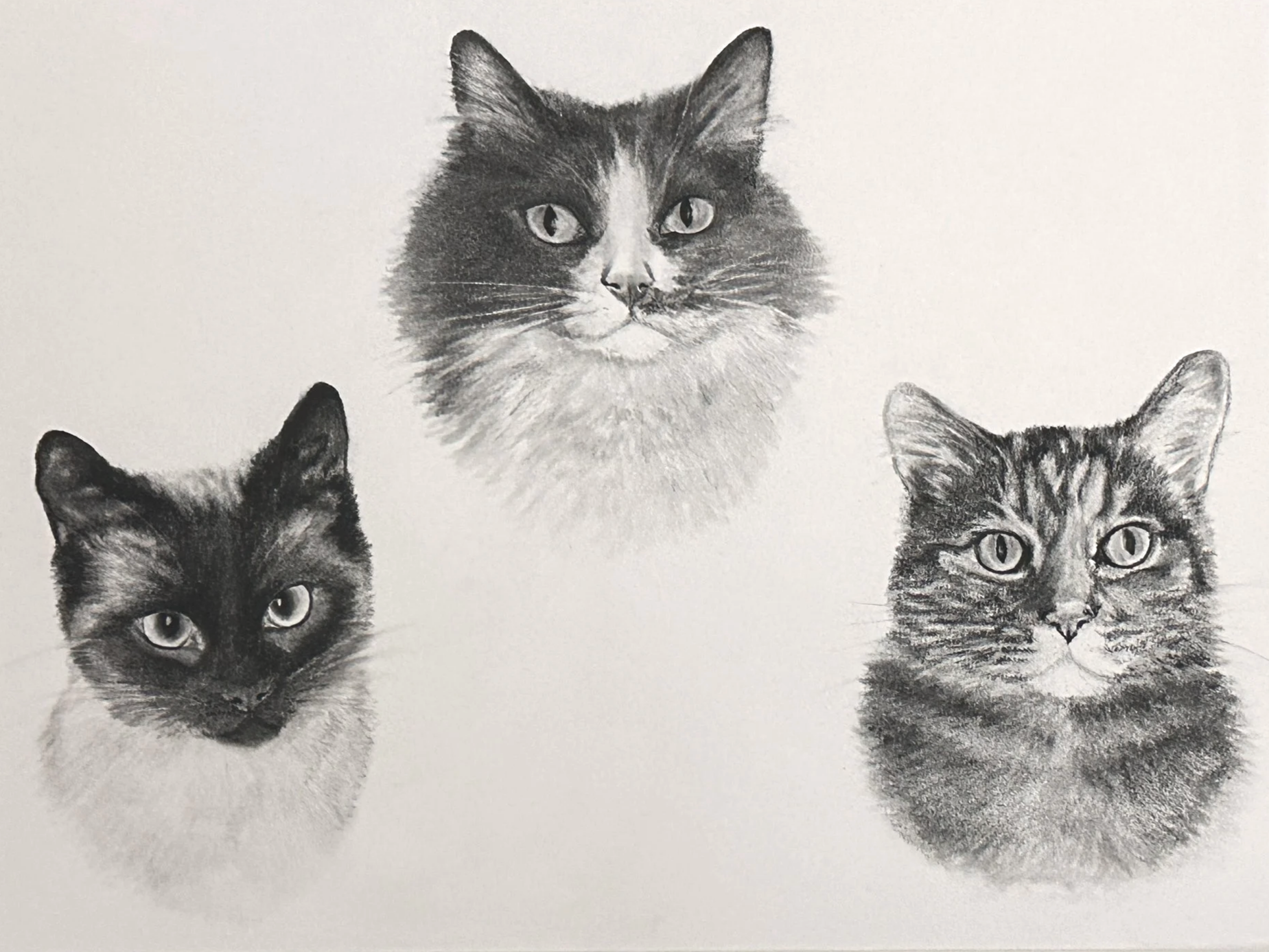 9x12" charcoal on illustration board, 2025