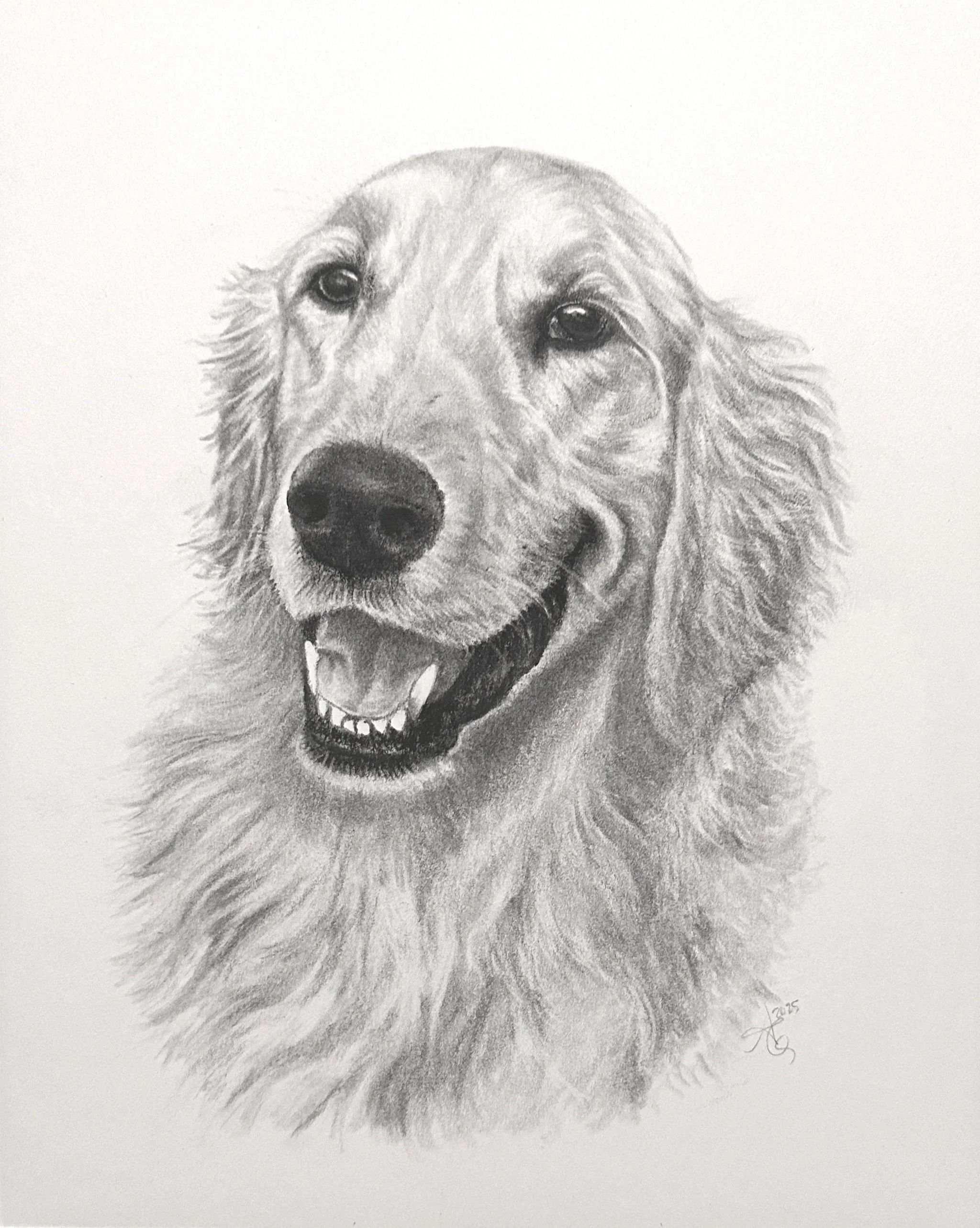 5x7" charcoal on illustration board, 2025