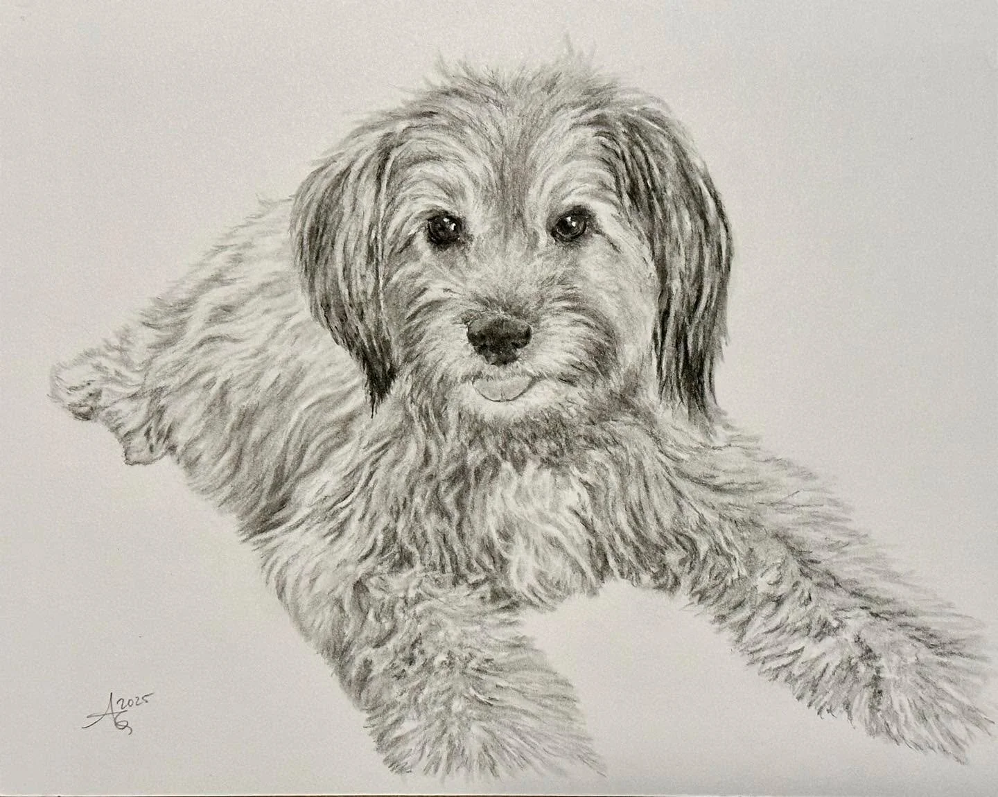 Baby🐶 8x10&rdquo; charcoal.
This was a surprise gift from earlier this year

#petportraitcommission #petdrawing #petart #charcoaldrawing #wheatenterriers