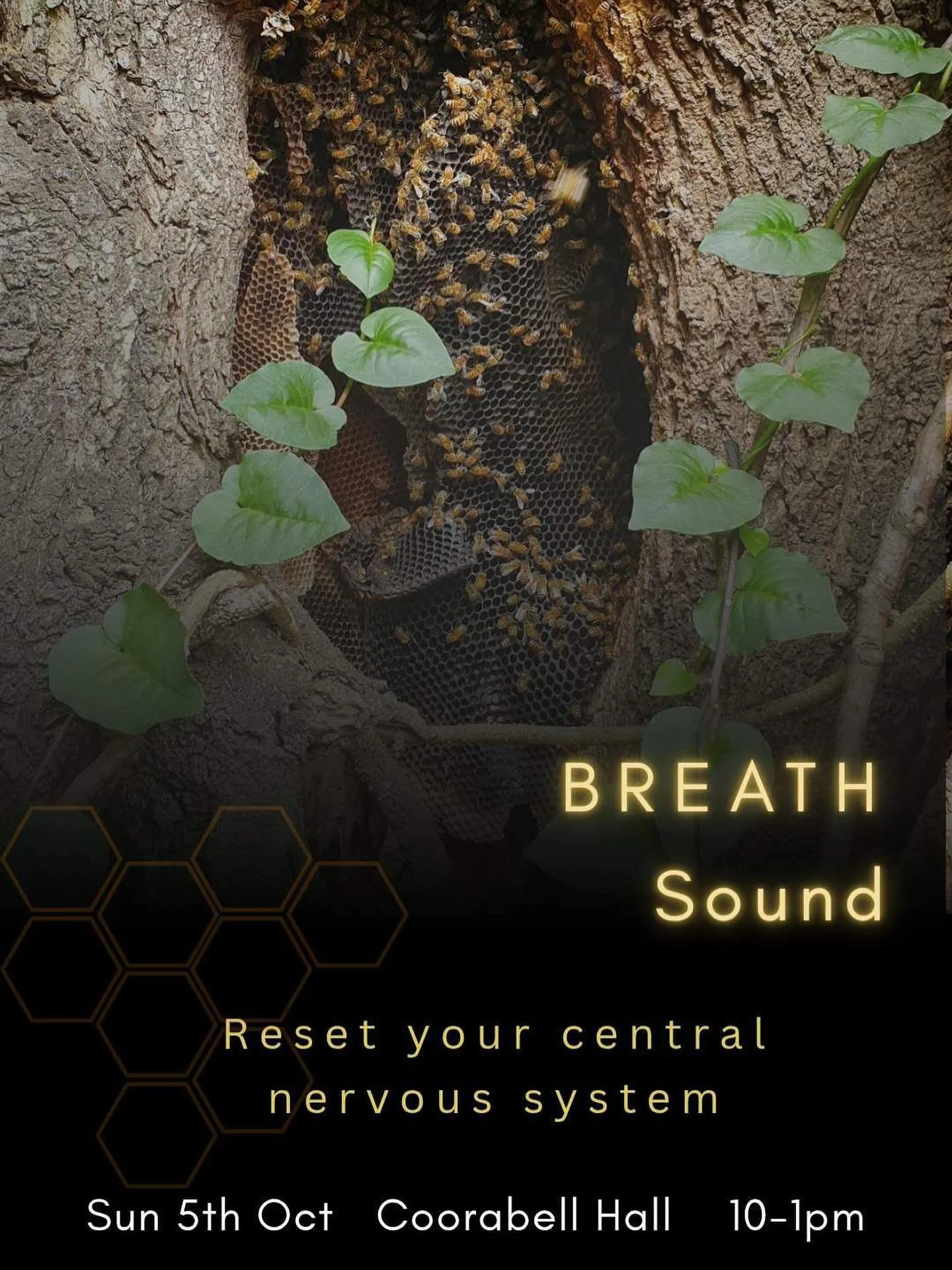 Bee Sounds - Sunday 5th of October 🐝
