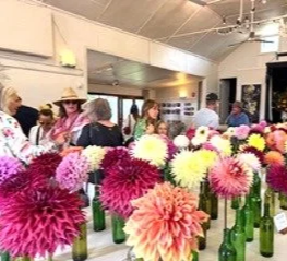 Newsletter #42 April 2026