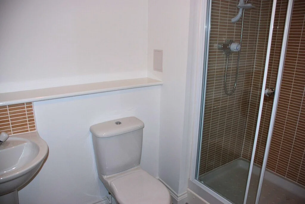 773d88a3-3f61-47b8-aa27-e6946e0a8fa5.jpg