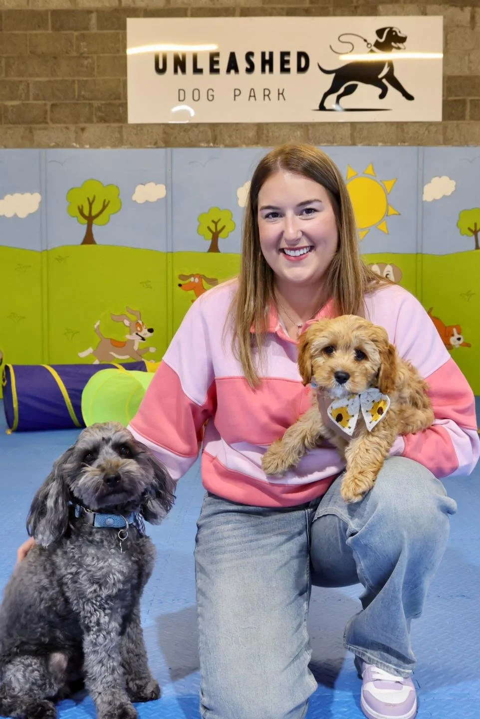 Dog Park Opening In Larkfield Industrial Estate In Greenock