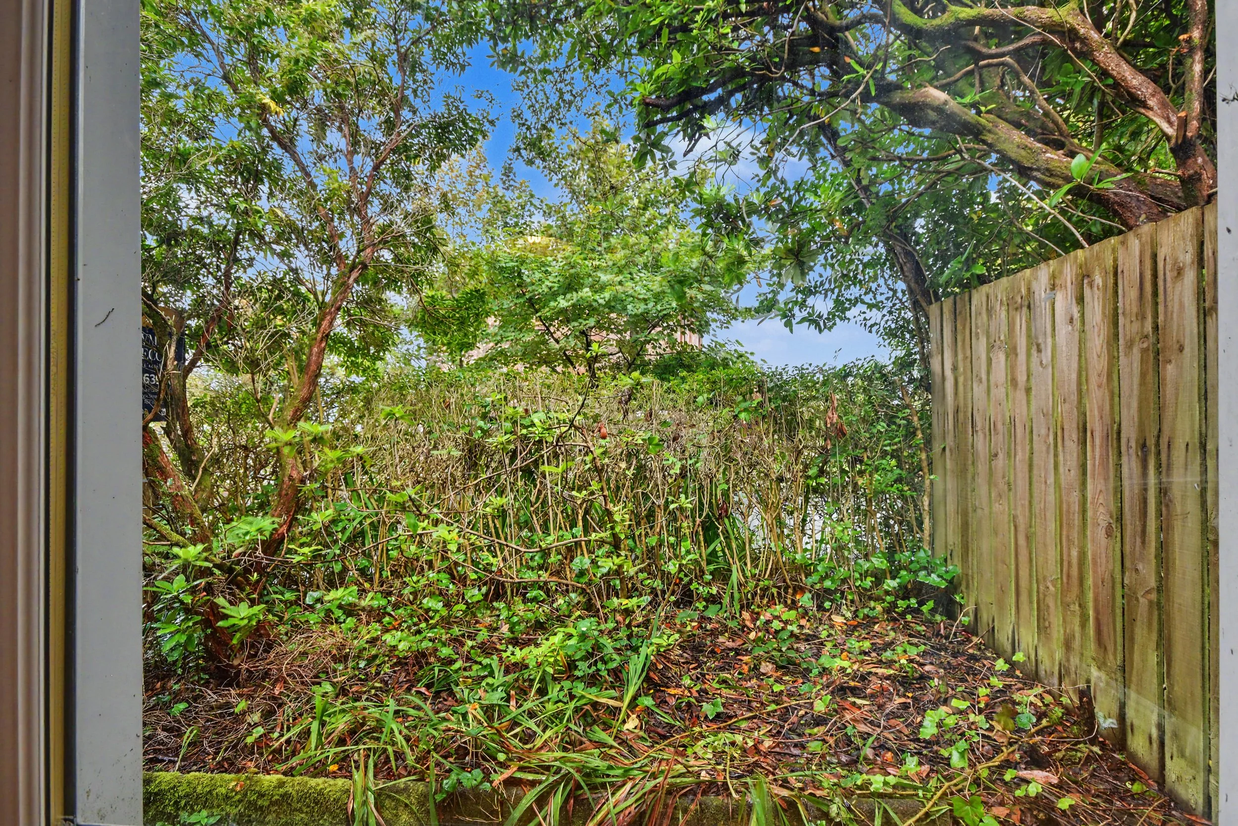 DSC_0165.JPG
