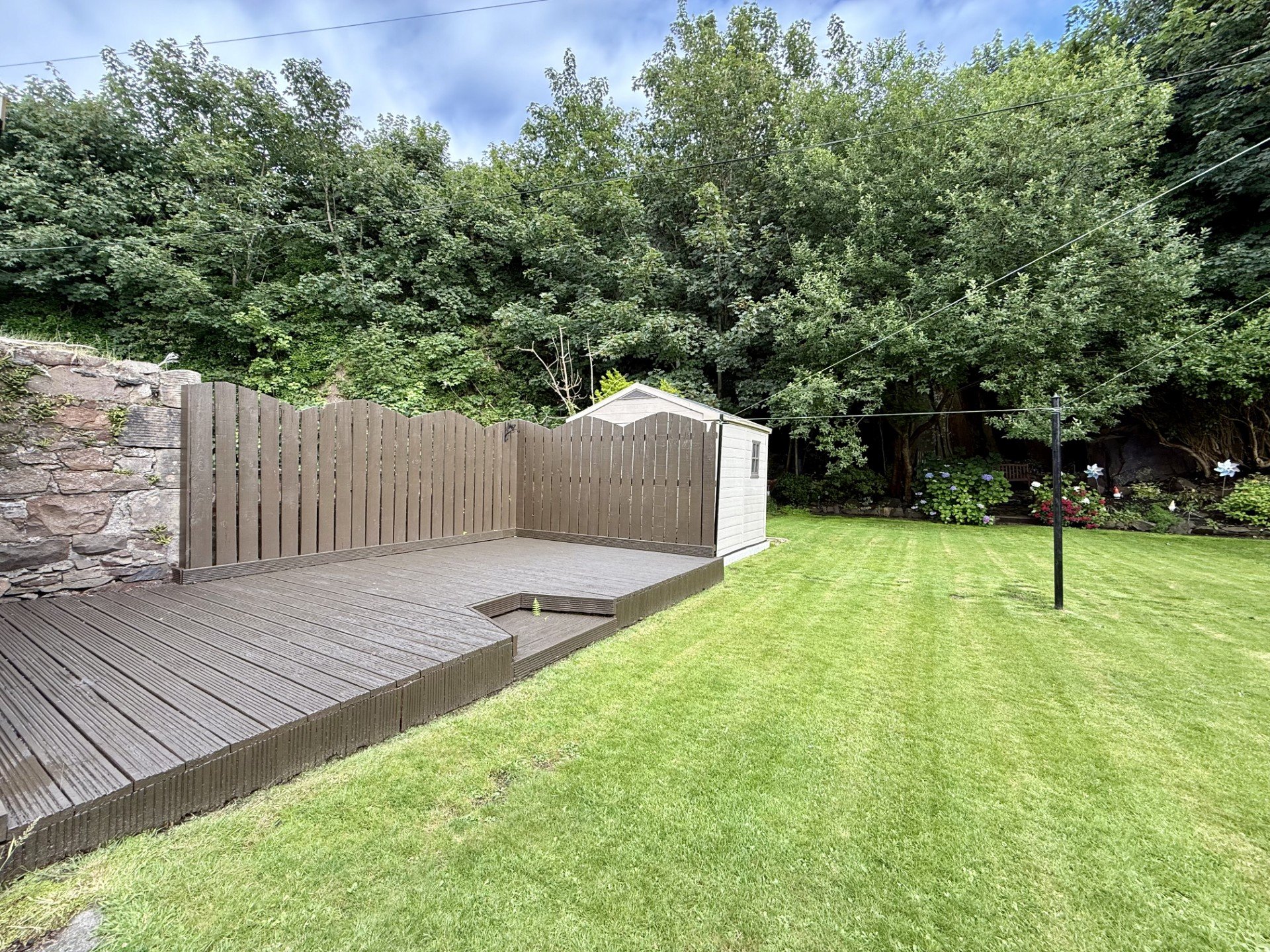 Decking and Grass.jpg